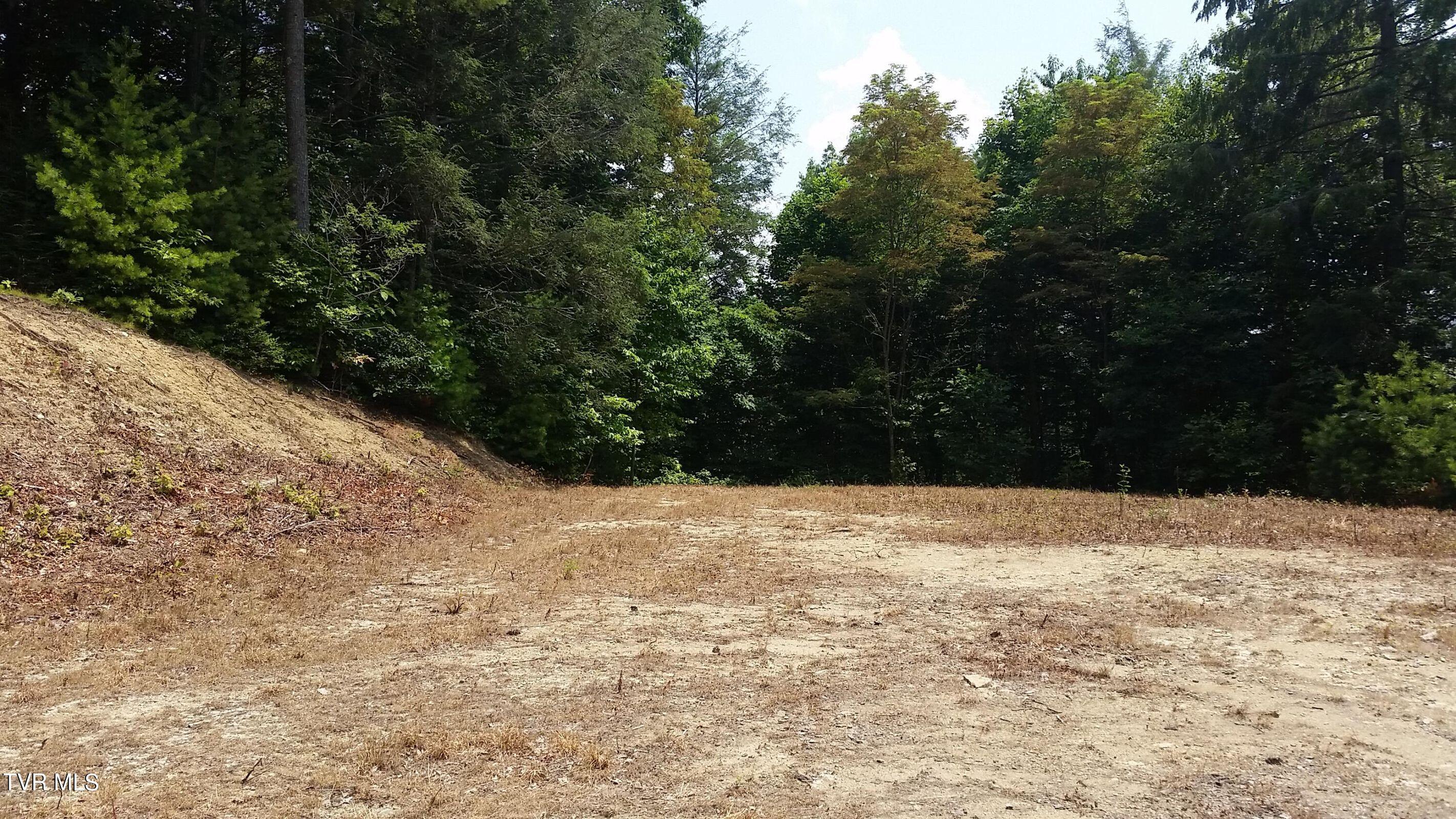 Tbd Heartwood Lane, Butler, Tennessee image 1