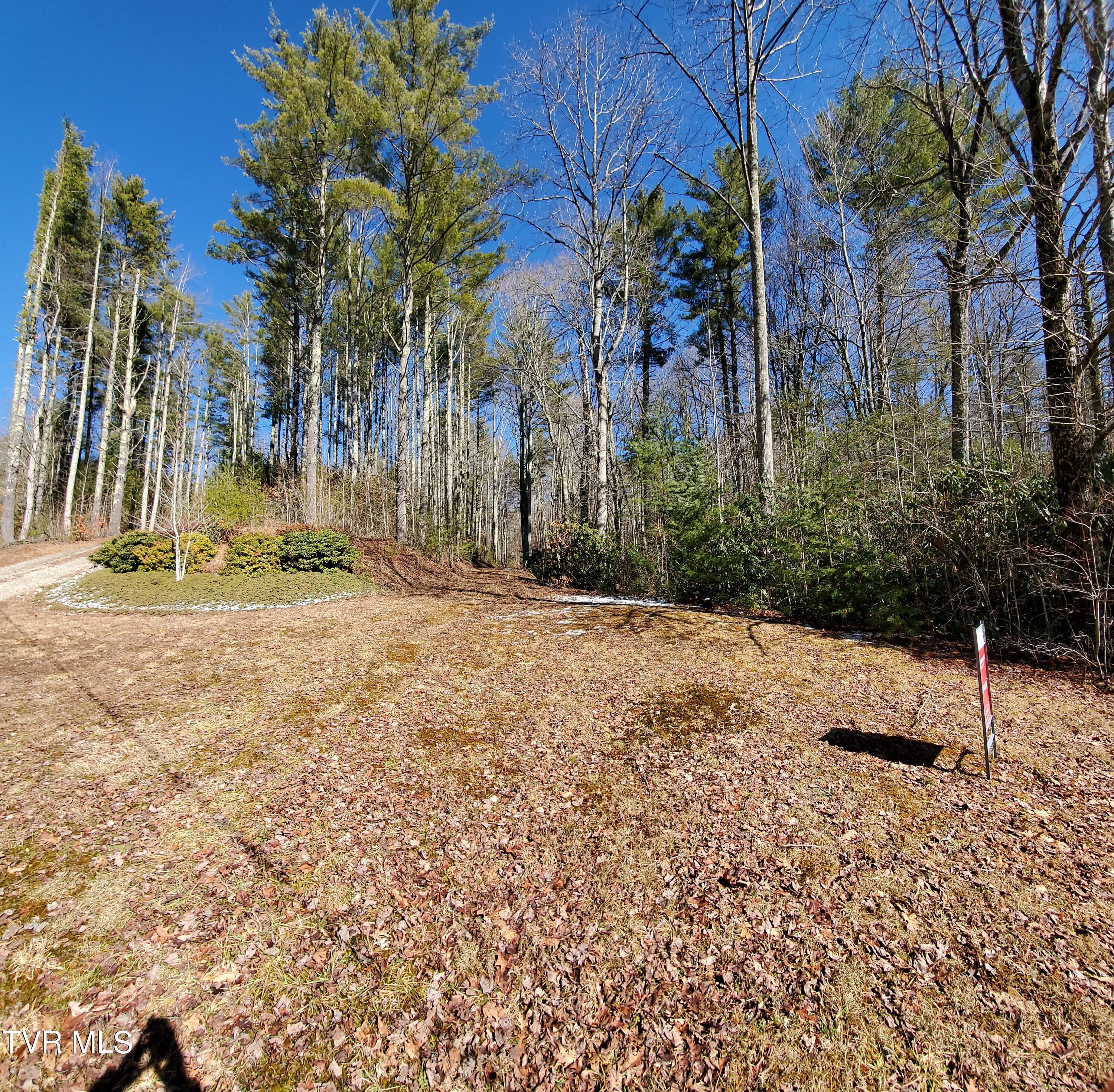 Tbd Heartwood Lane, Butler, Tennessee image 24
