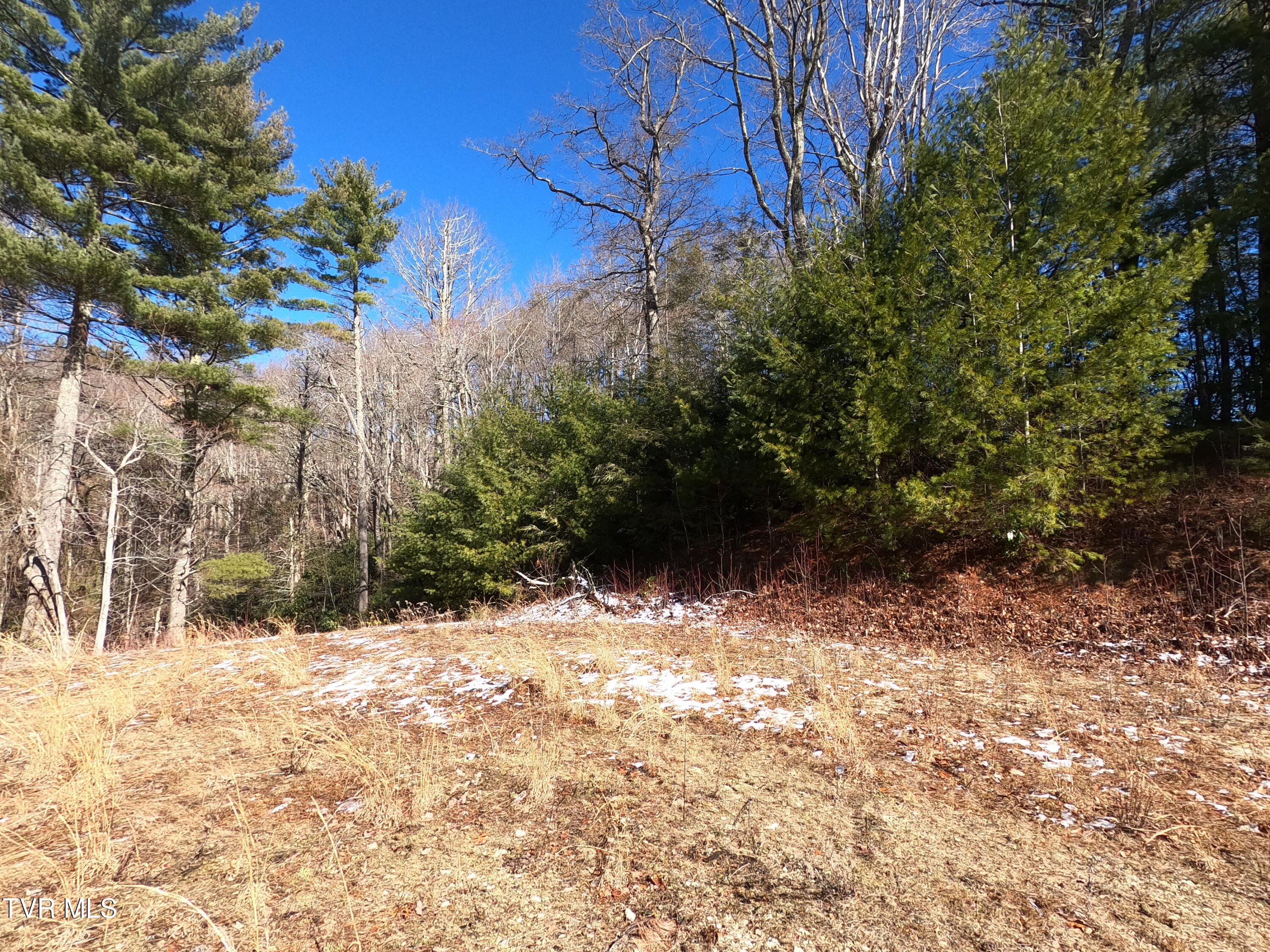 Tbd Heartwood Lane, Butler, Tennessee image 39