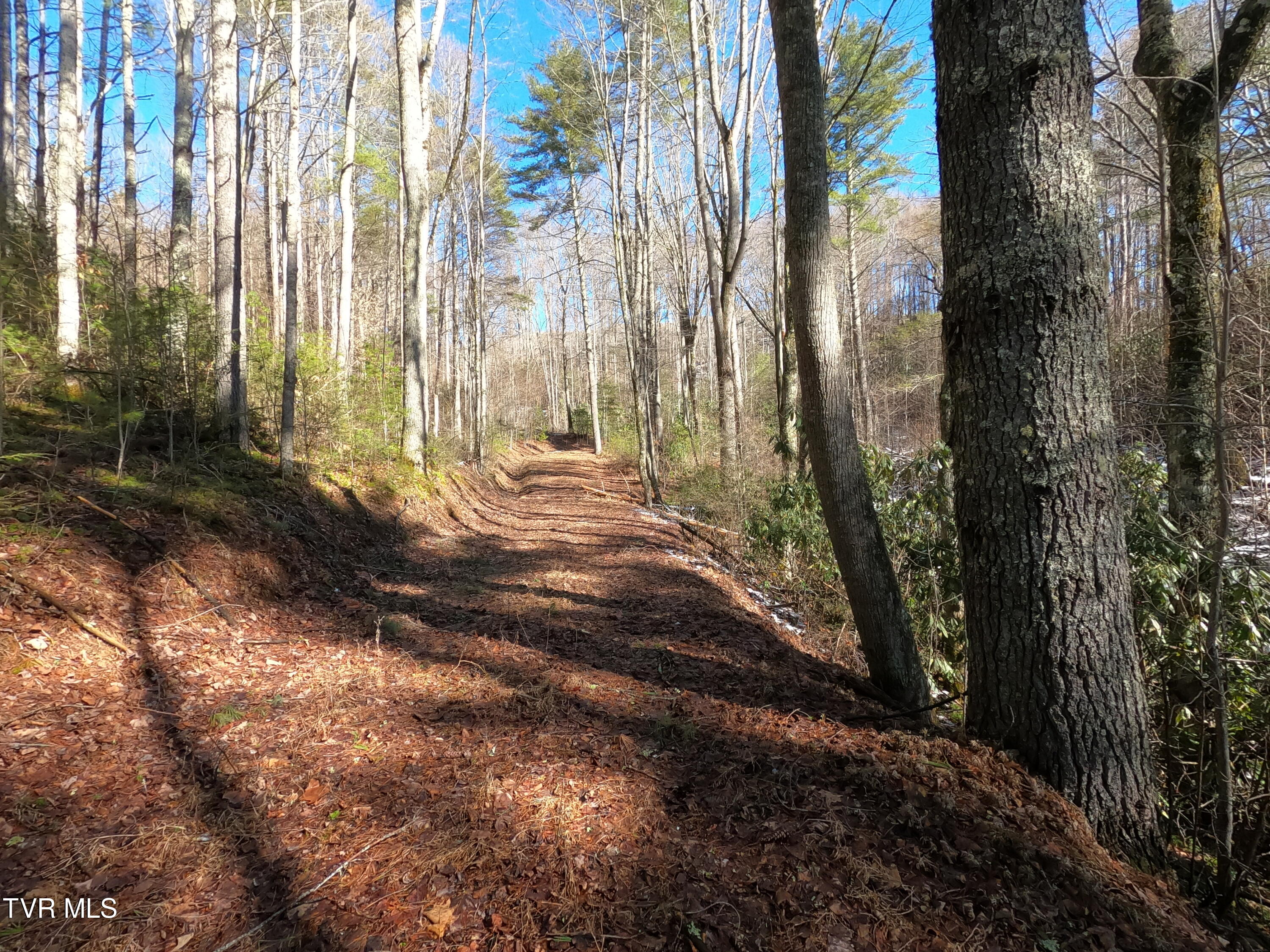 Tbd Heartwood Lane, Butler, Tennessee image 28