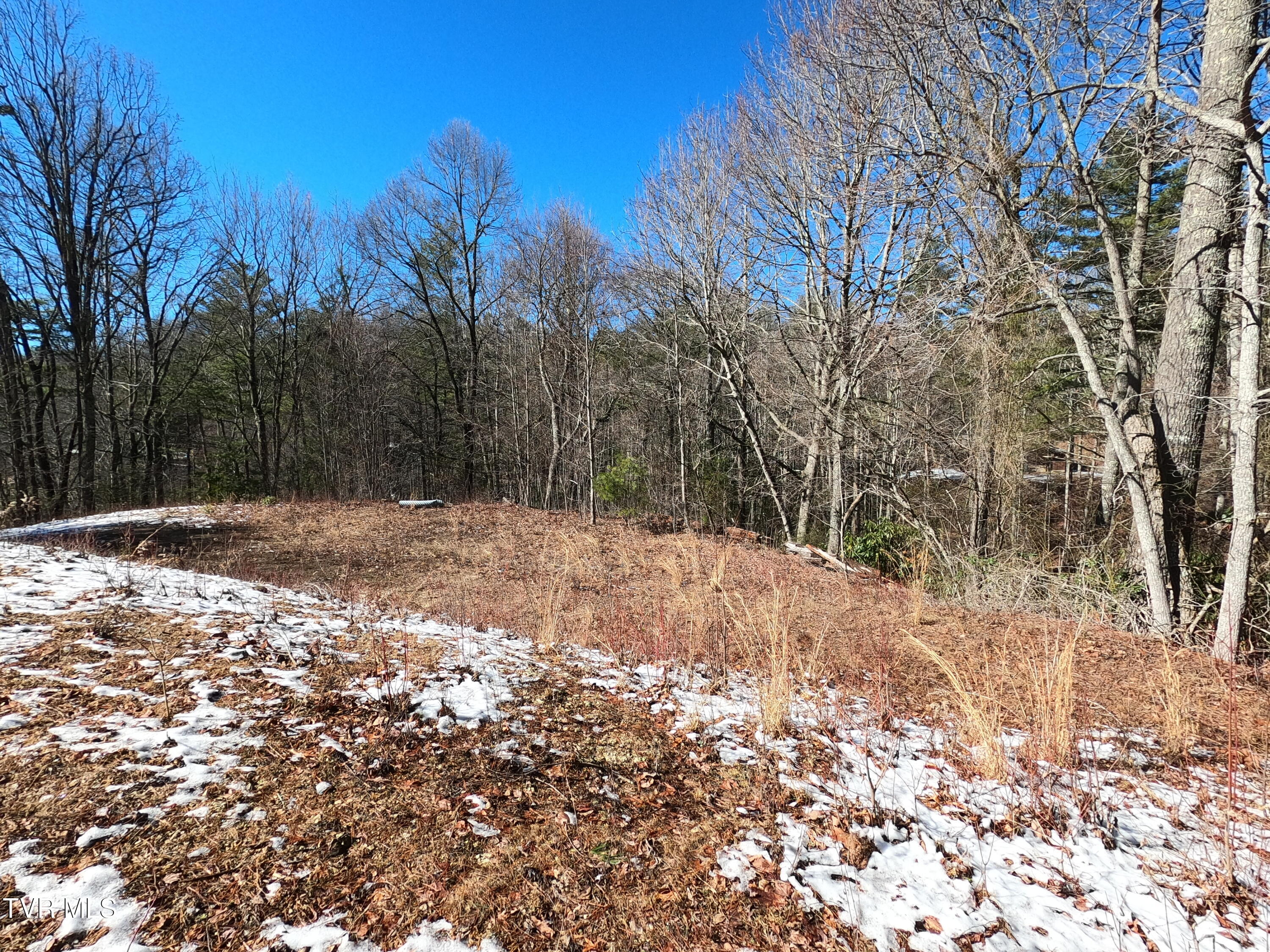 Tbd Heartwood Lane, Butler, Tennessee image 37