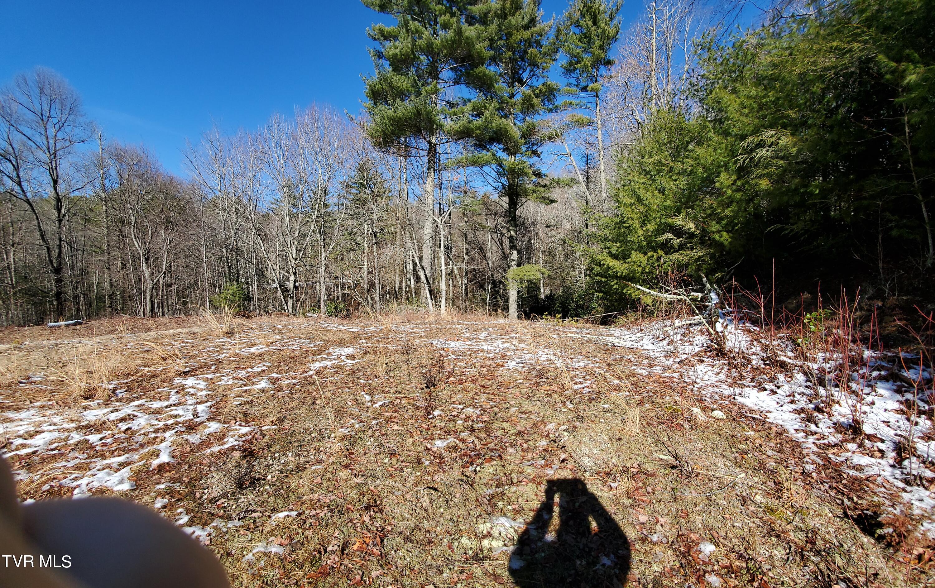 Tbd Heartwood Lane, Butler, Tennessee image 38