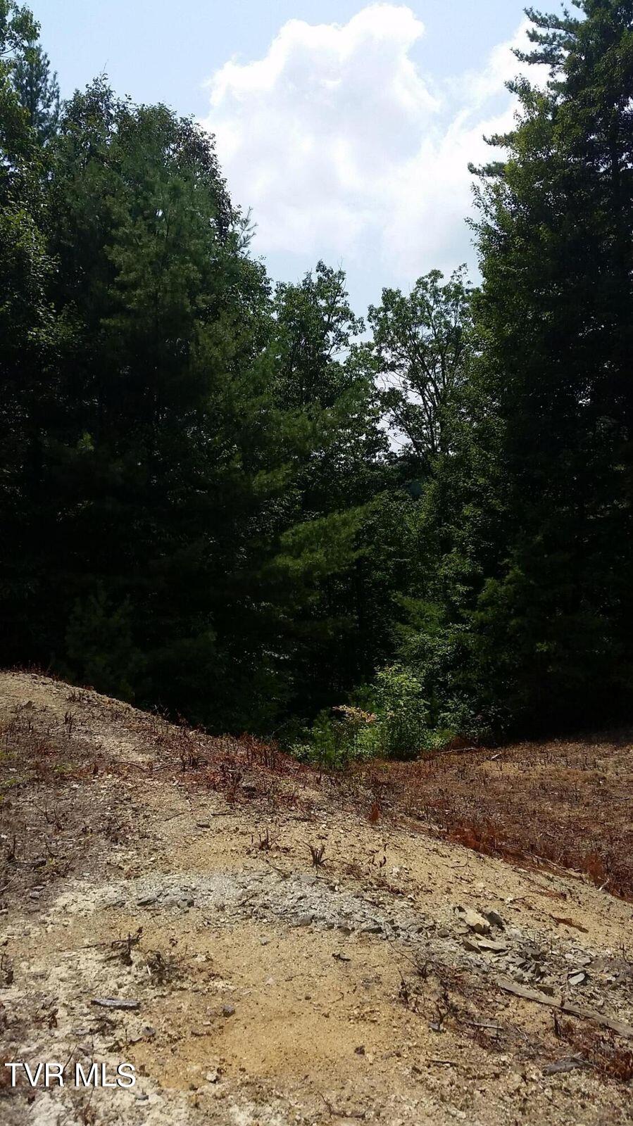 Tbd Heartwood Lane, Butler, Tennessee image 16