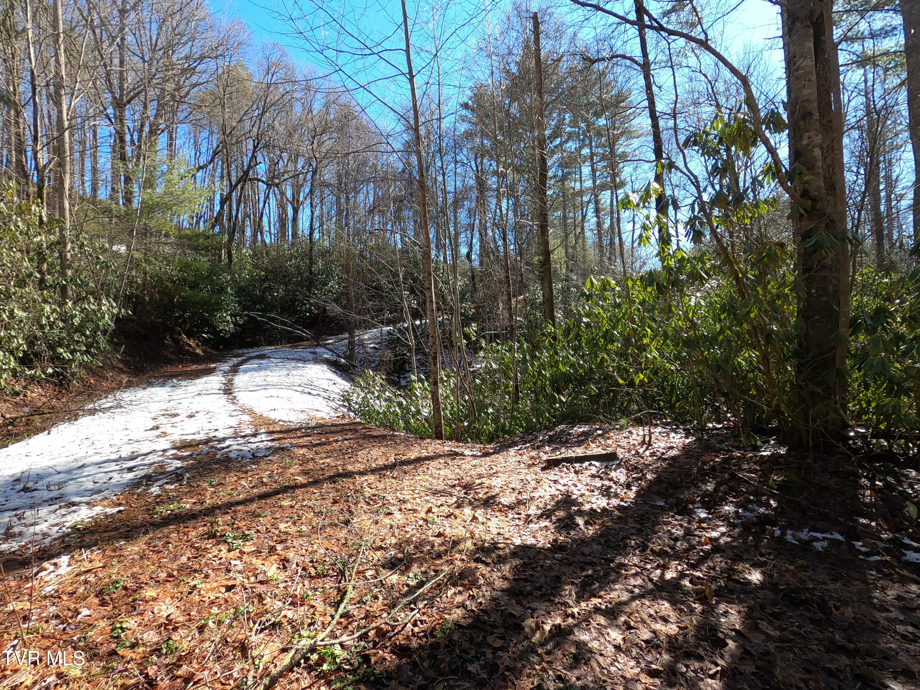 Tbd Heartwood Lane, Butler, Tennessee image 30