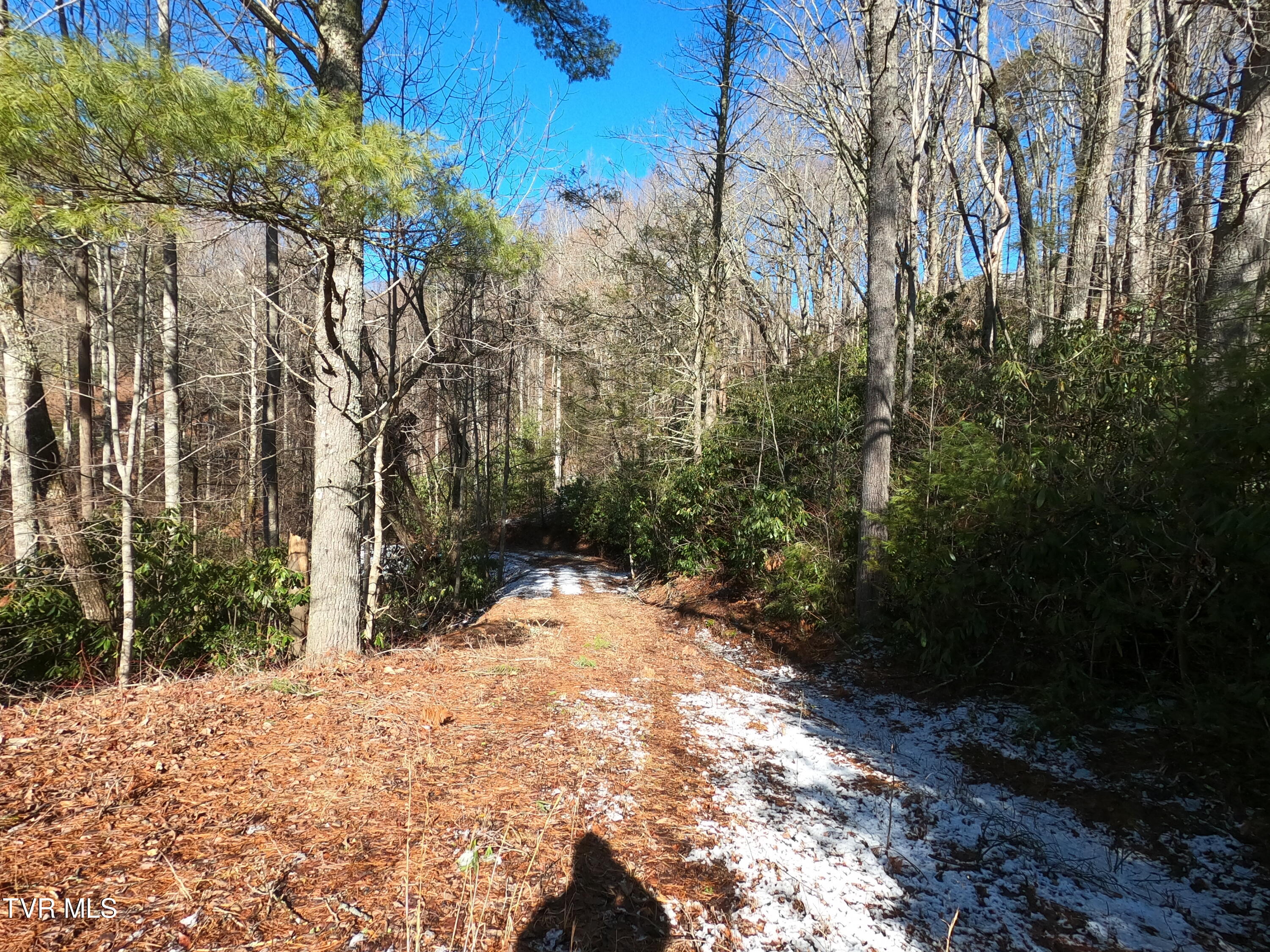 Tbd Heartwood Lane, Butler, Tennessee image 40