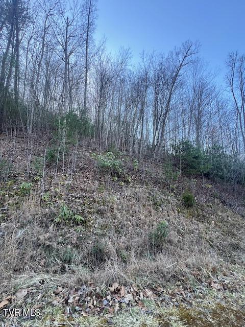 Tbd 1 Luttrell Street, Erwin, Tennessee image 7