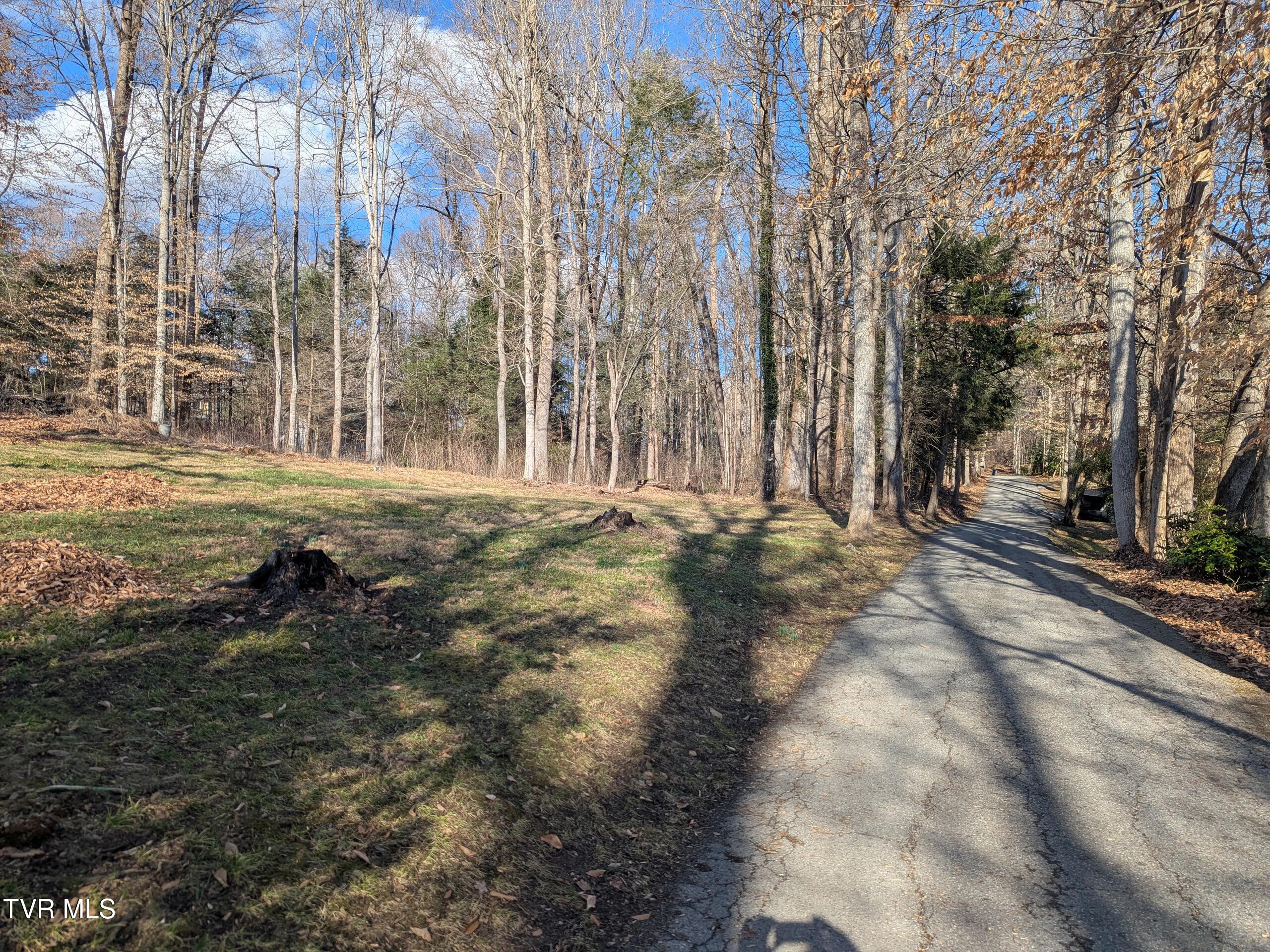 Tbd Beechwood Road, Bristol, Tennessee image 4