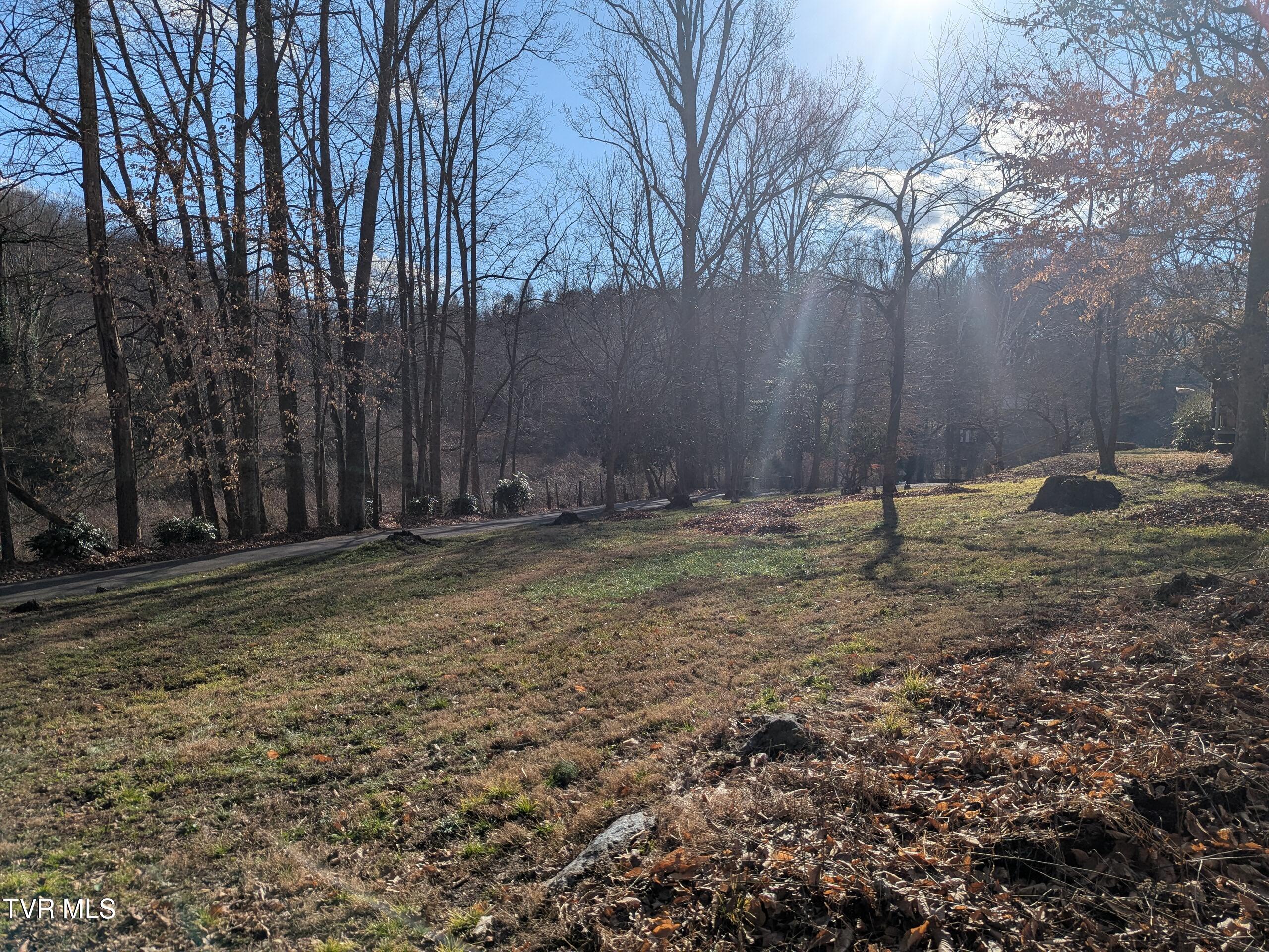 Tbd Beechwood Road, Bristol, Tennessee image 1