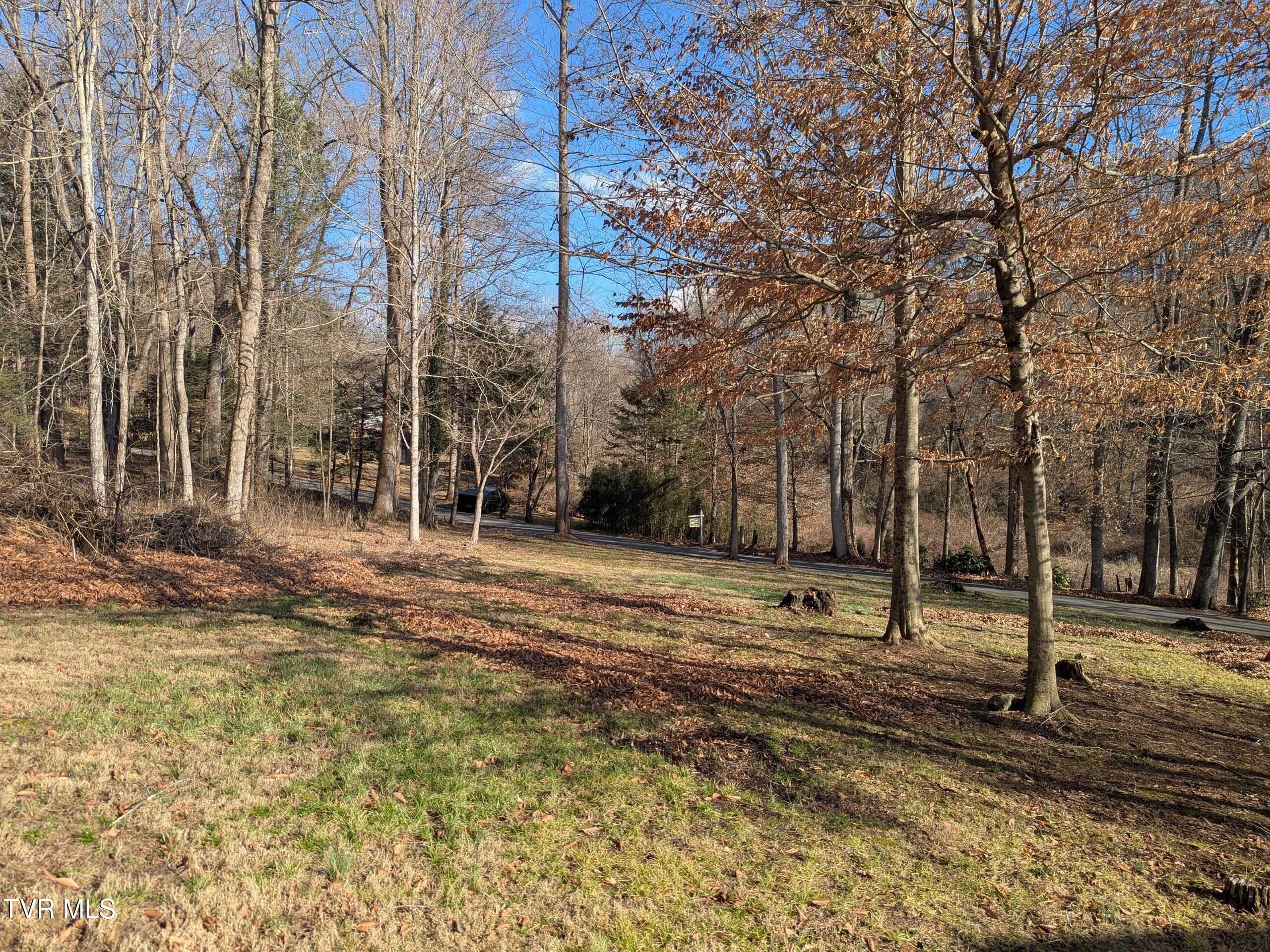 Tbd Beechwood Road, Bristol, Tennessee image 5
