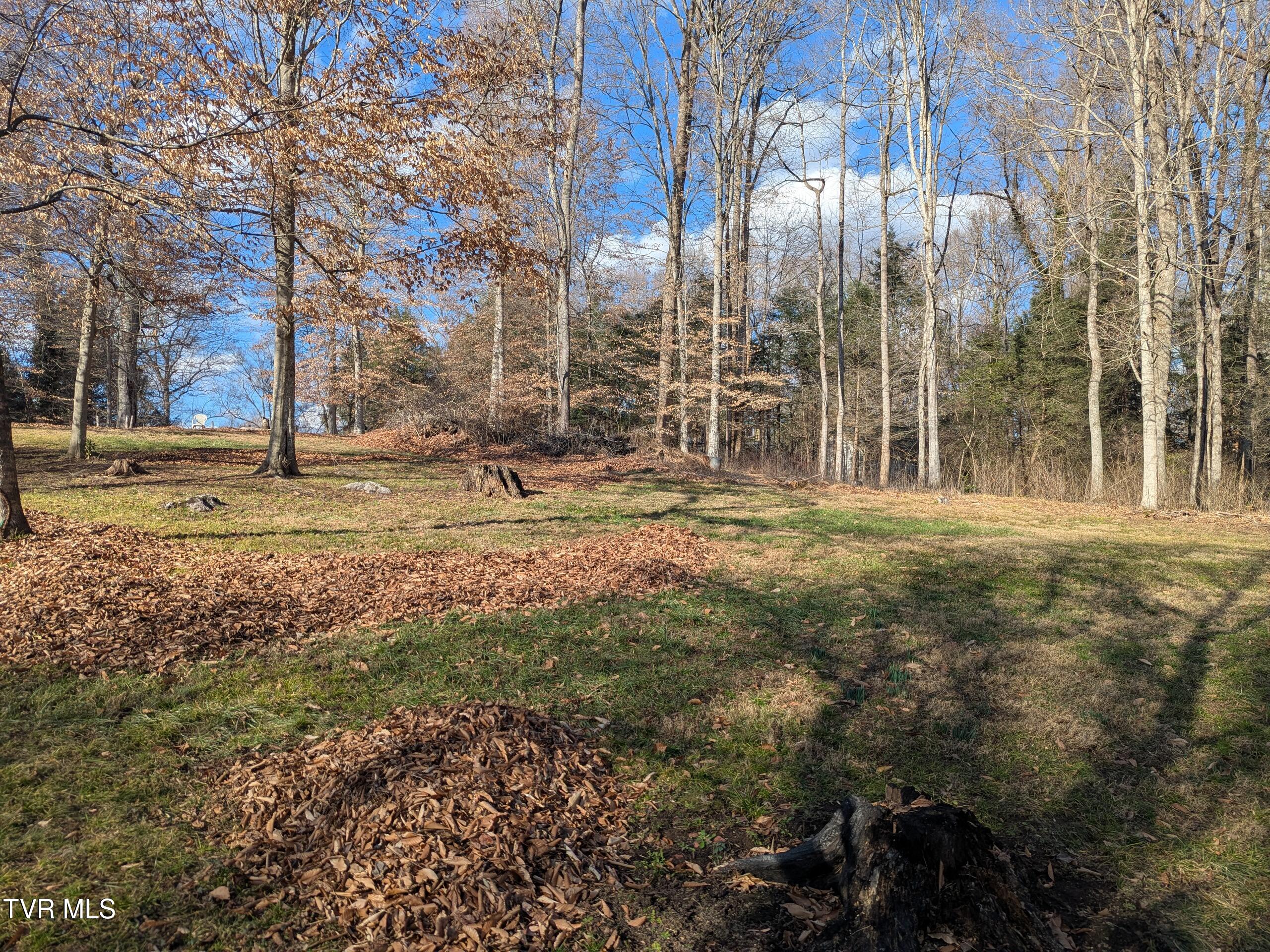 Tbd Beechwood Road, Bristol, Tennessee image 2