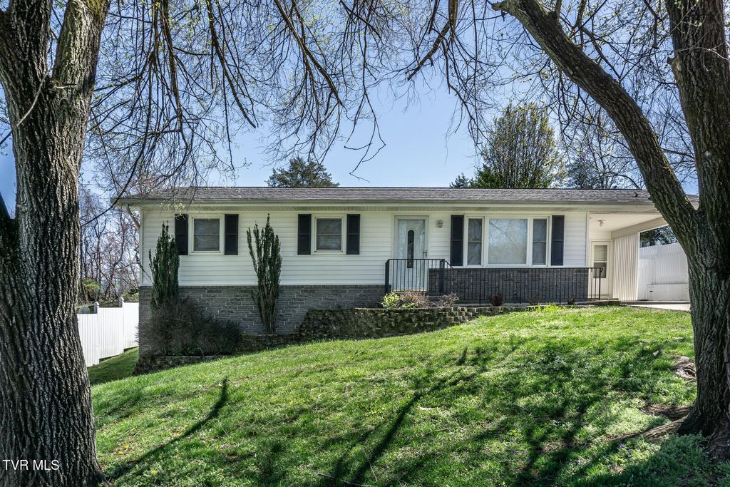 Photo of 331 Paul Street, Greeneville, TN 37743 (MLS # 9992840)