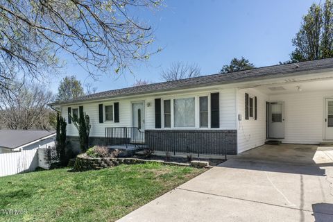 Photo of 331 Paul Street, Greeneville, TN 37743 (MLS # 9992840)