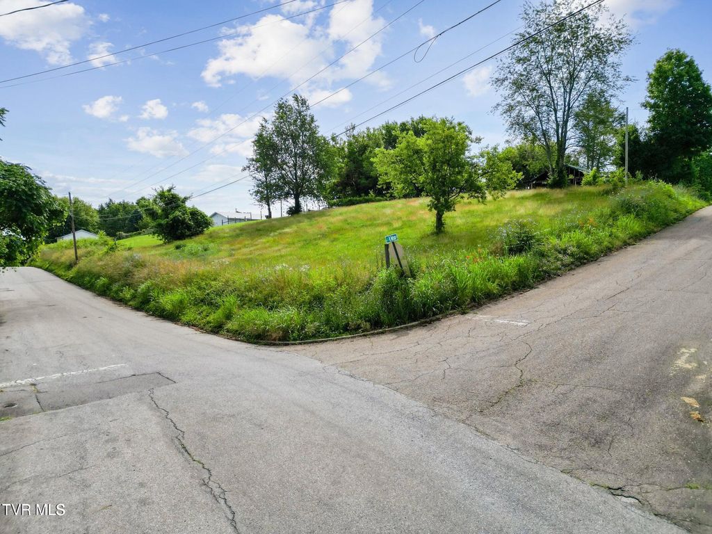 Photo of 0 Leonard Street, Greeneville, TN 37745 (MLS # 9982562)