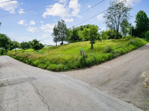 Vacant Land For Sale - Leonard Street<br/> Greeneville, TN 37745