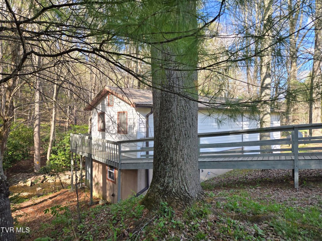 Photo of 326 Cove Creek Road, Roan Mountain, TN 37687 (MLS # 9993999)