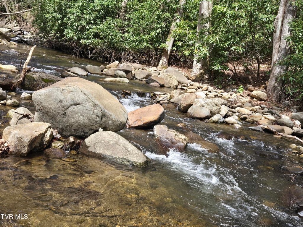 Photo of 326 Cove Creek Road, Roan Mountain, TN 37687 (MLS # 9993999)