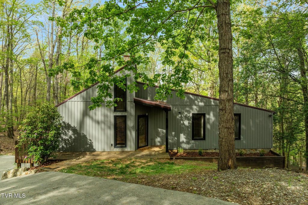 Photo of 704 Stuffle Street, Kingsport, TN 37660 (MLS # 9994333)