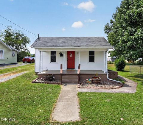 Homes For Sale - 1616 Tremont Avenue<br/> Bristol, TN 37620