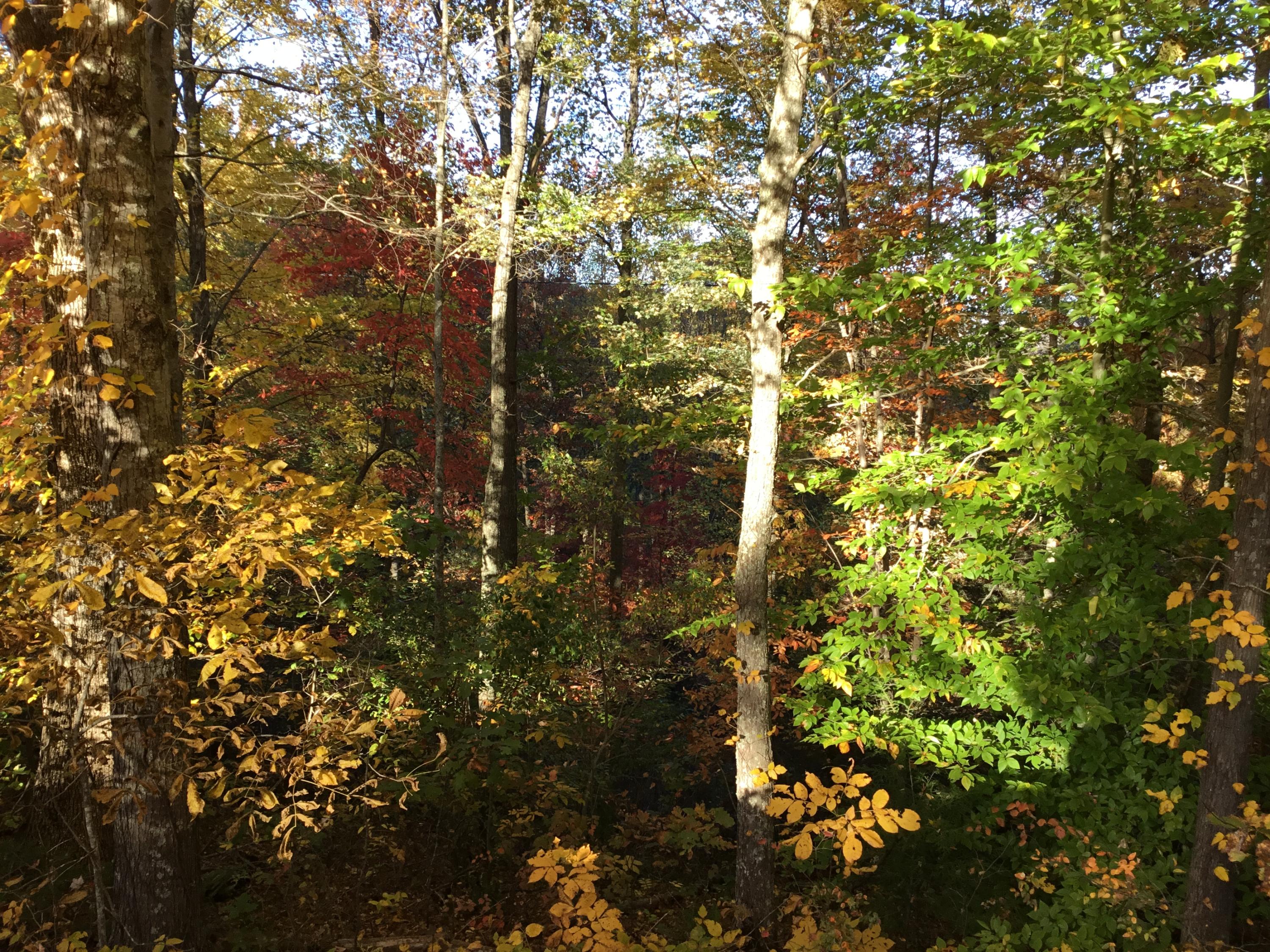 Tbd Hiram Hollow Road, Wise, Virginia image 3