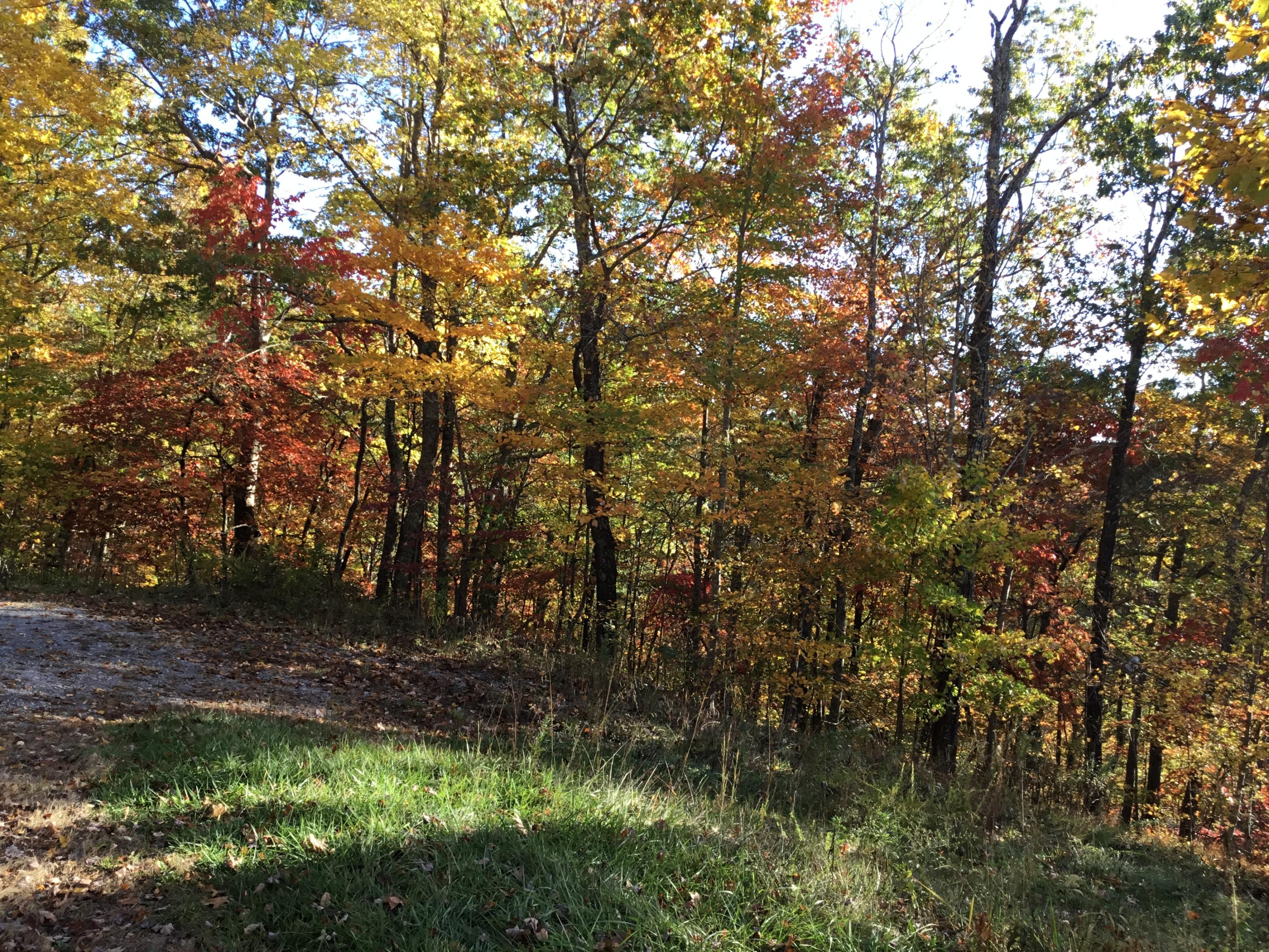 Tbd Hiram Hollow Road, Wise, Virginia image 1