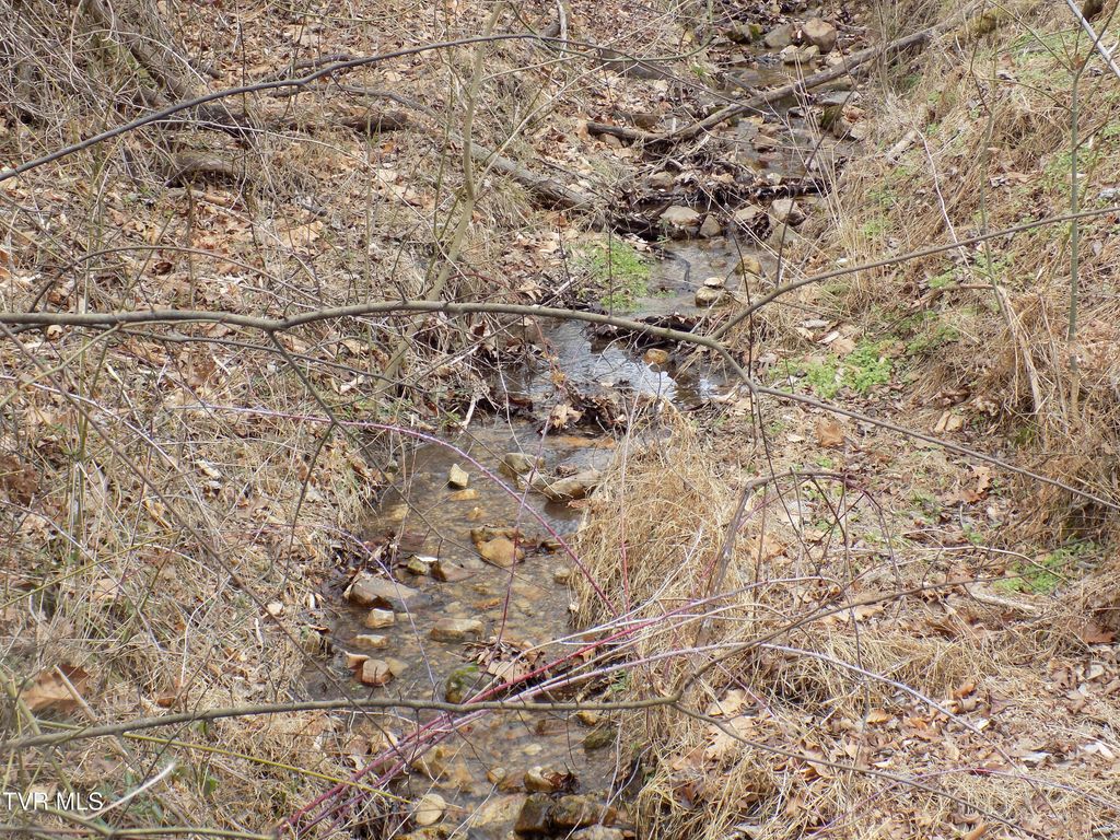 Photo of Tbd Lovin Rd, Mooresburg, TN 37811 (MLS # 9988193)