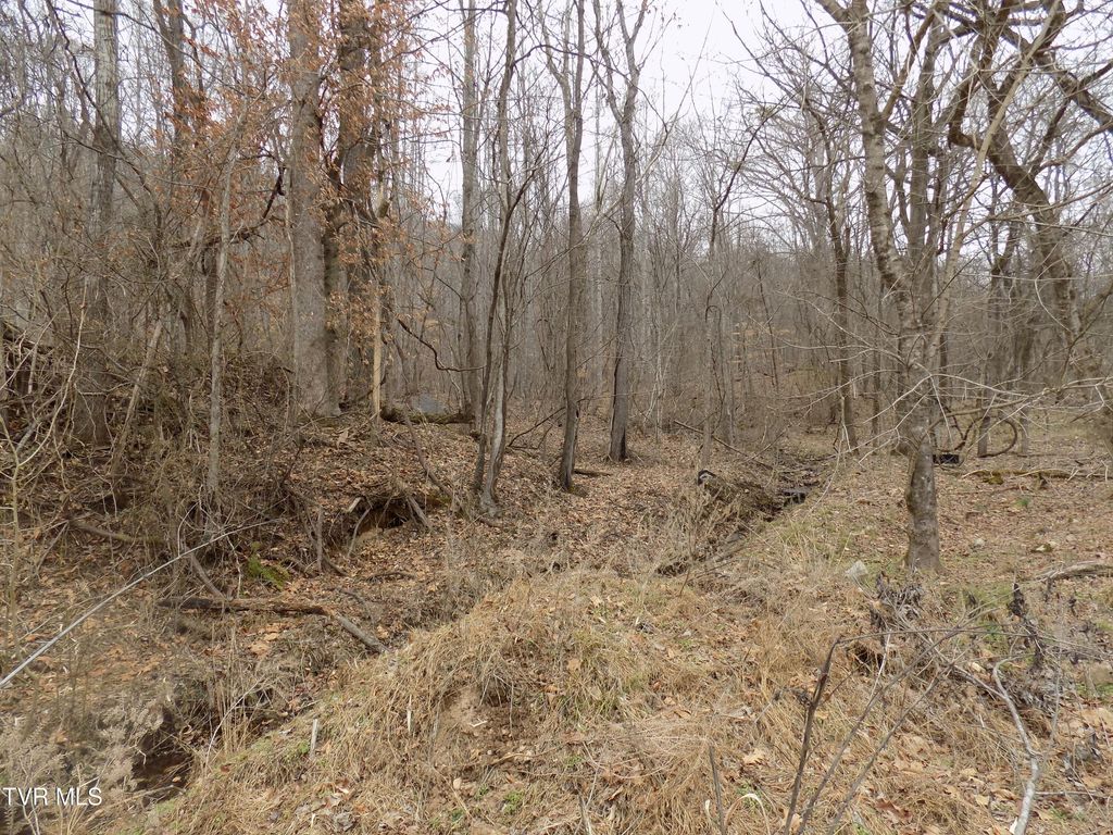 Photo of Tbd Lovin Rd, Mooresburg, TN 37811 (MLS # 9988193)