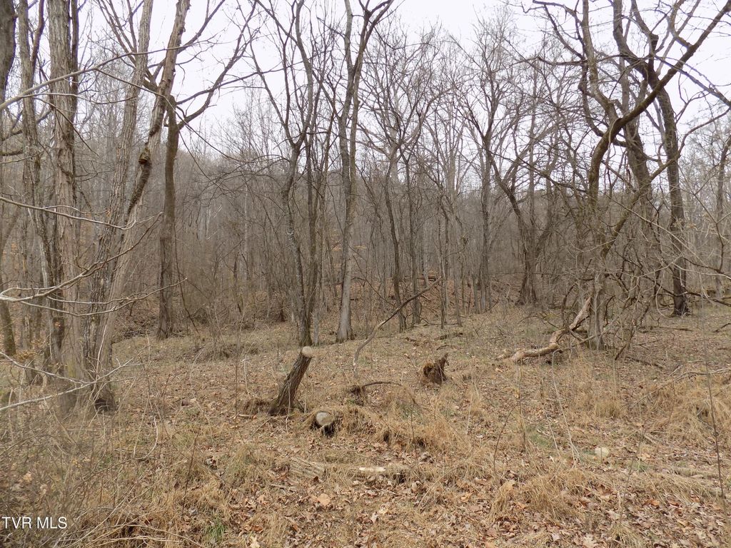 Photo of Tbd Lovin Rd, Mooresburg, TN 37811 (MLS # 9988193)