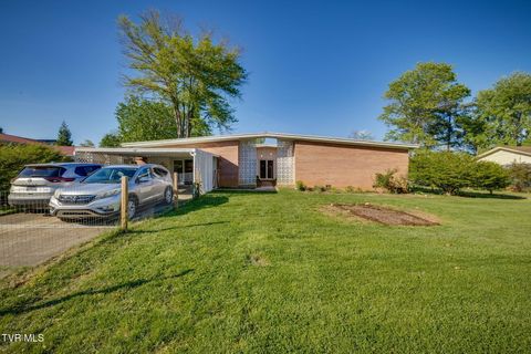 Photo of 107 Wayfair Drive, Greeneville, TN 37743 (MLS # 9994261)