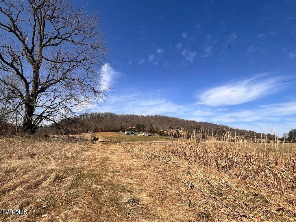 Photo of Tbd River Village Ln, Afton, TN 37616 (MLS # 9988948)