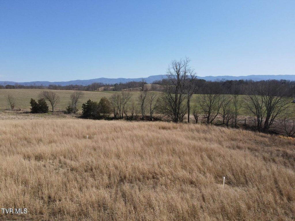 Photo of Tbd River Village Ln, Afton, TN 37616 (MLS # 9988948)