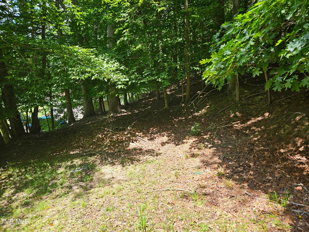 Photo of 275 Friend Street, Clintwood, VA 24228 (MLS # 9996968)