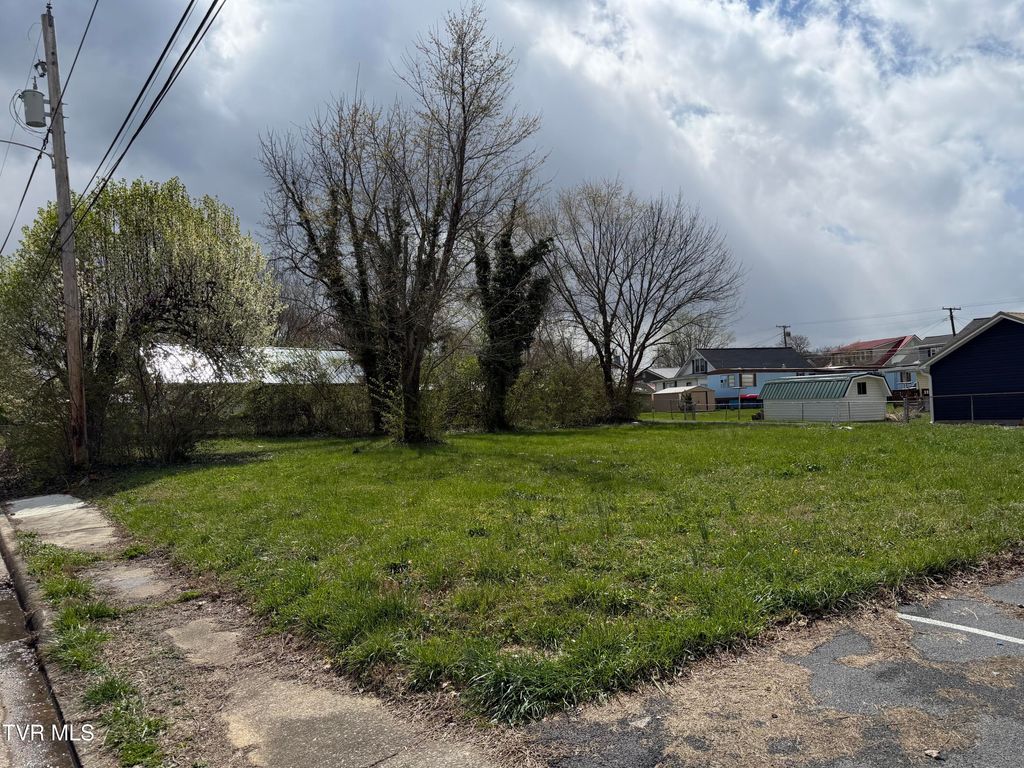 Photo of 1550 Nall Street, Kingsport, TN 37664 (MLS # 9992625)