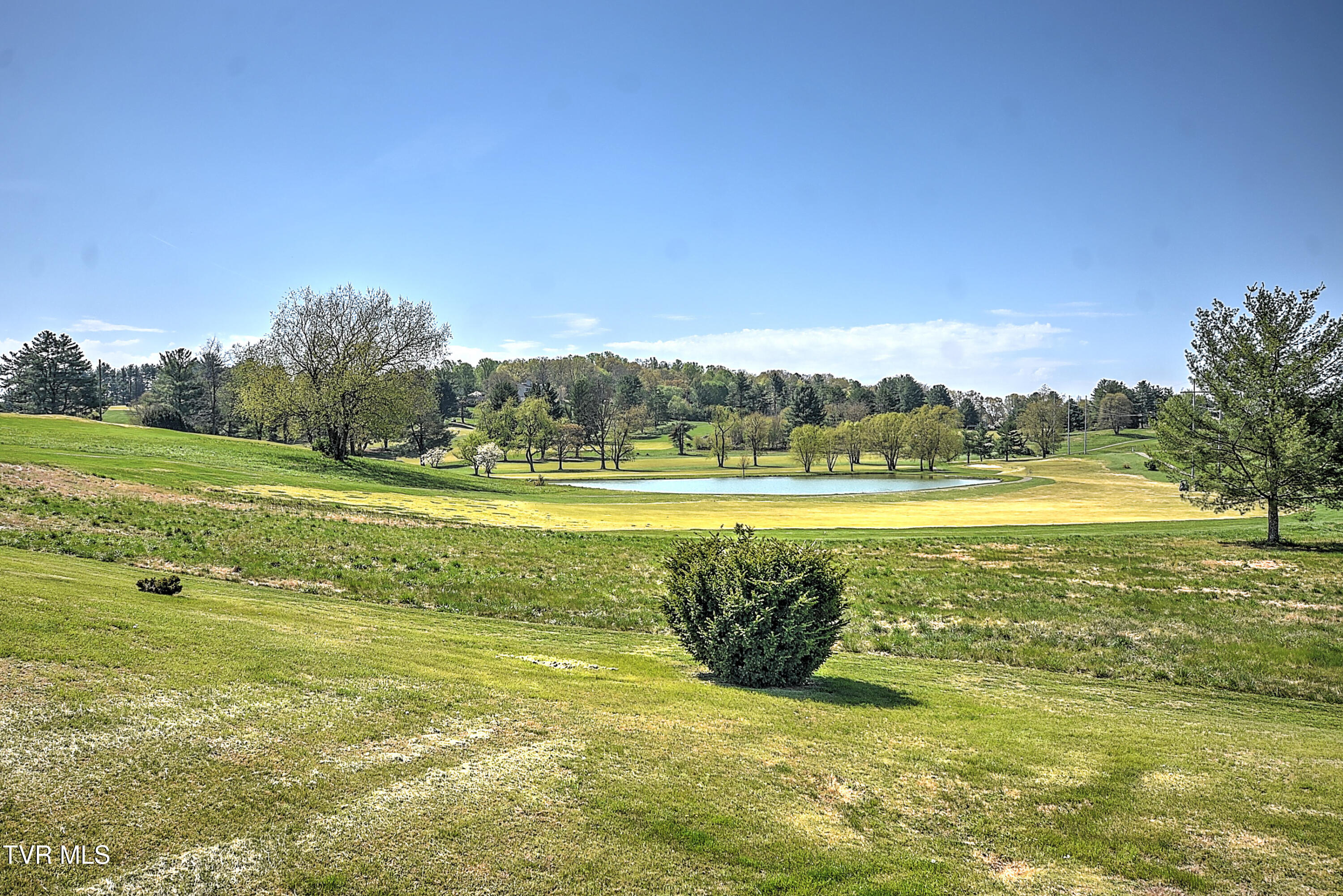 115 Eagle View Private Drive #115, Blountville, Tennessee image 42