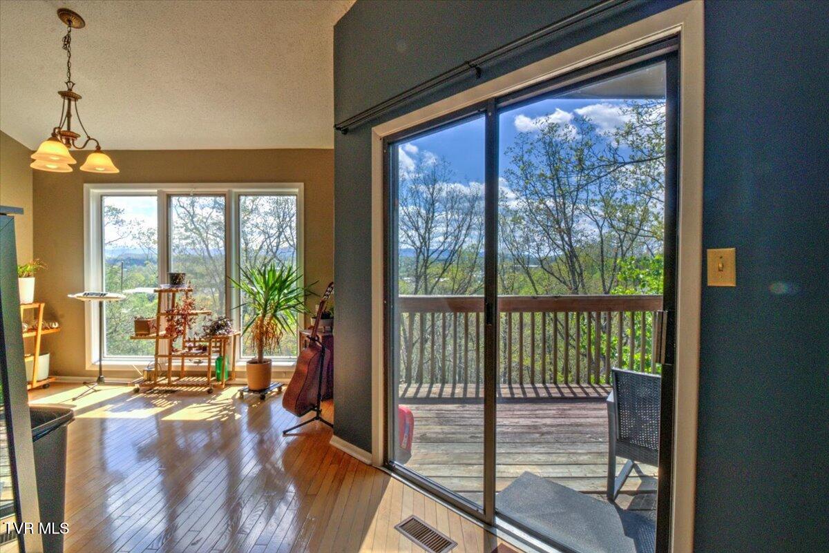 316 Hickory Bluff, Johnson City, Tennessee image 25