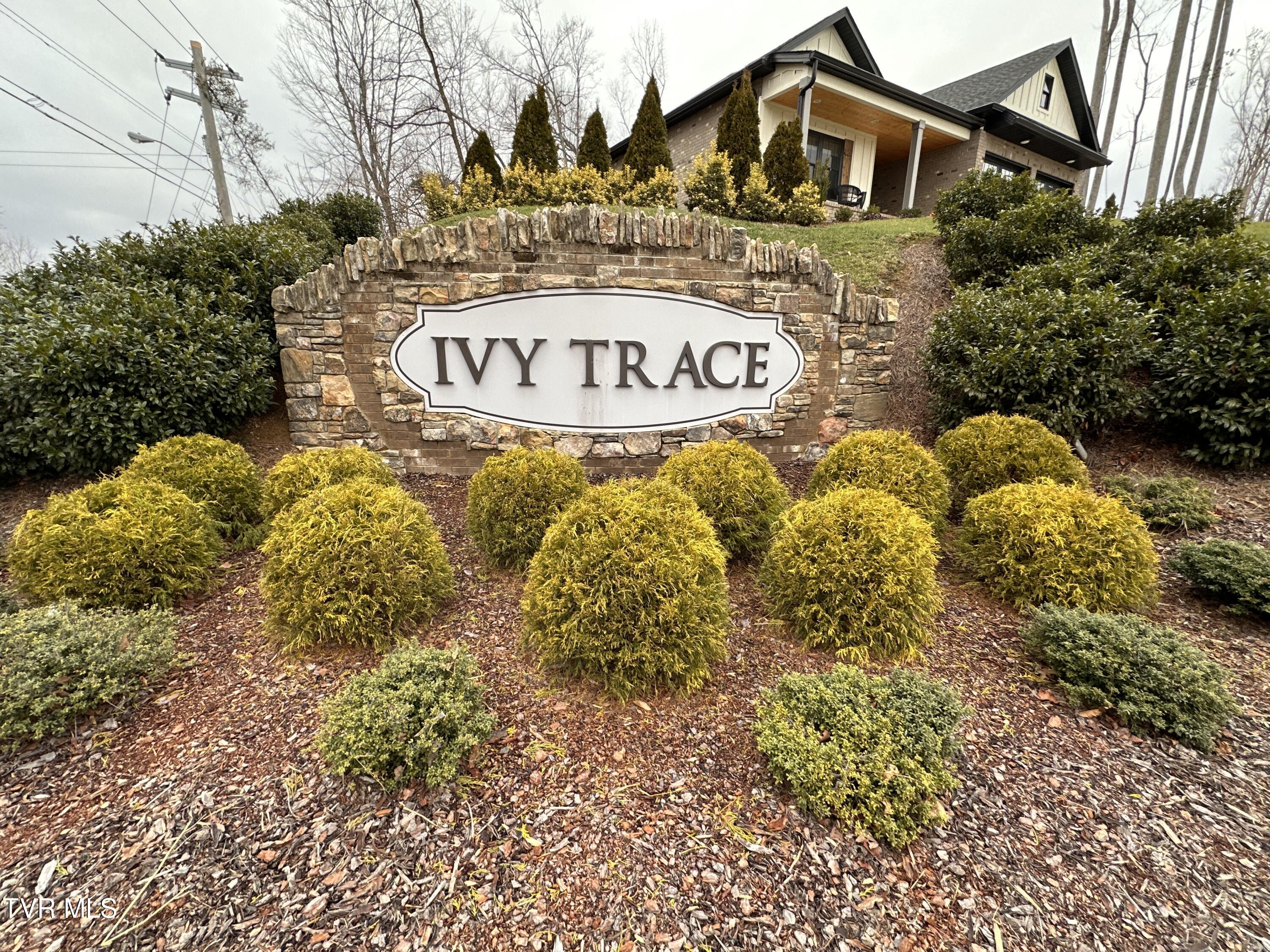 42 English Ivy Trail Trail #42, Jonesborough, Tennessee image 1