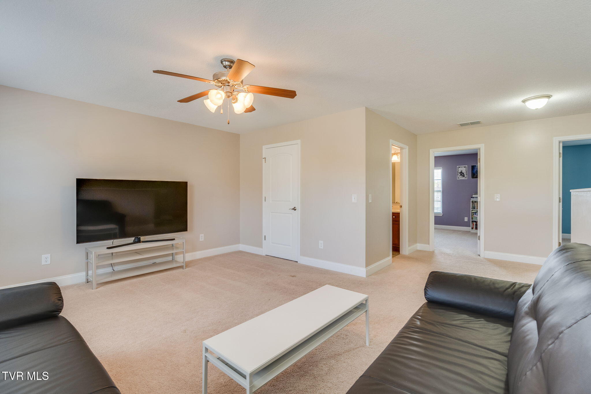 146 Anthurium Avenue, Johnson City, Tennessee image 23