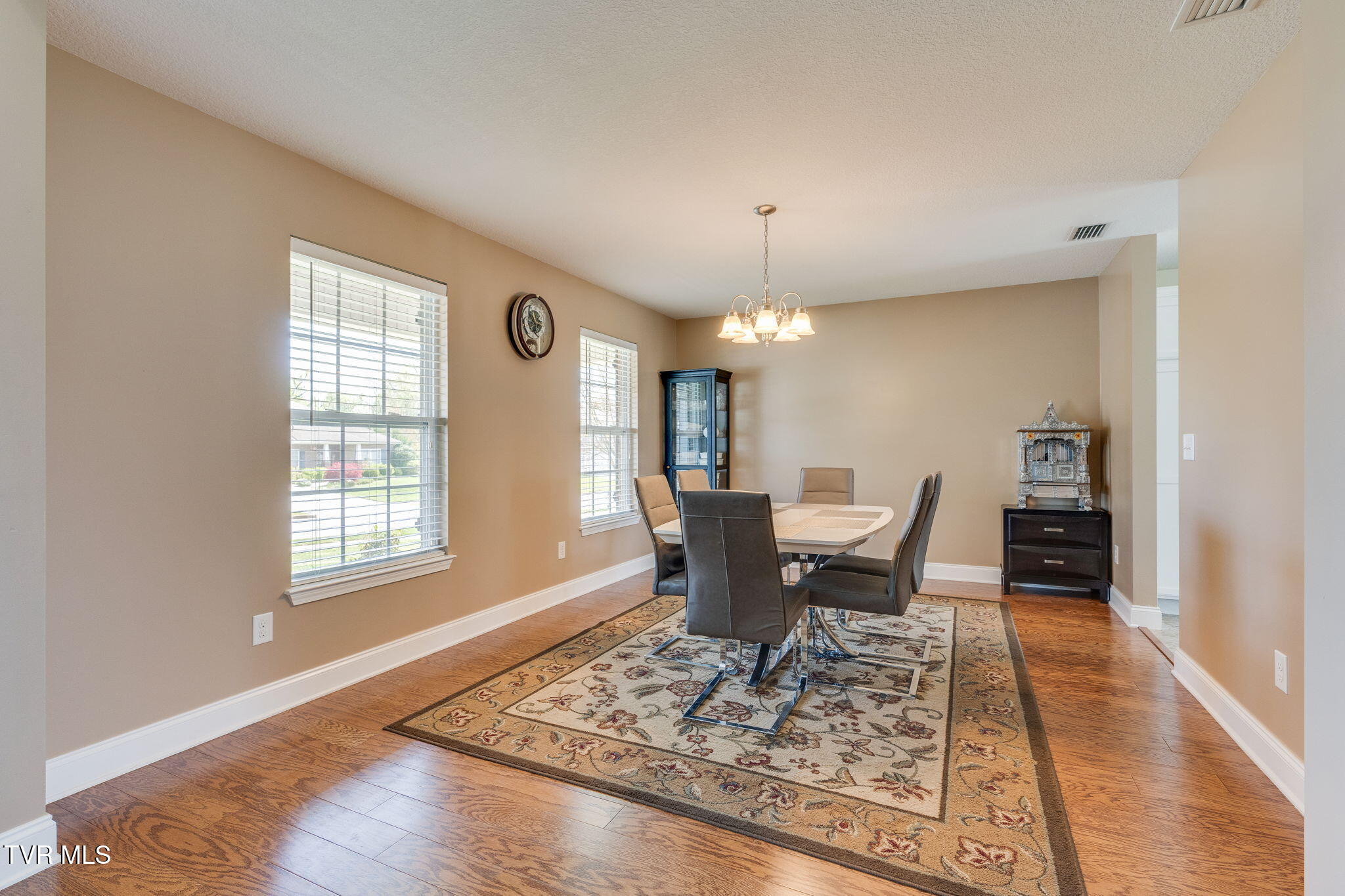 146 Anthurium Avenue, Johnson City, Tennessee image 9
