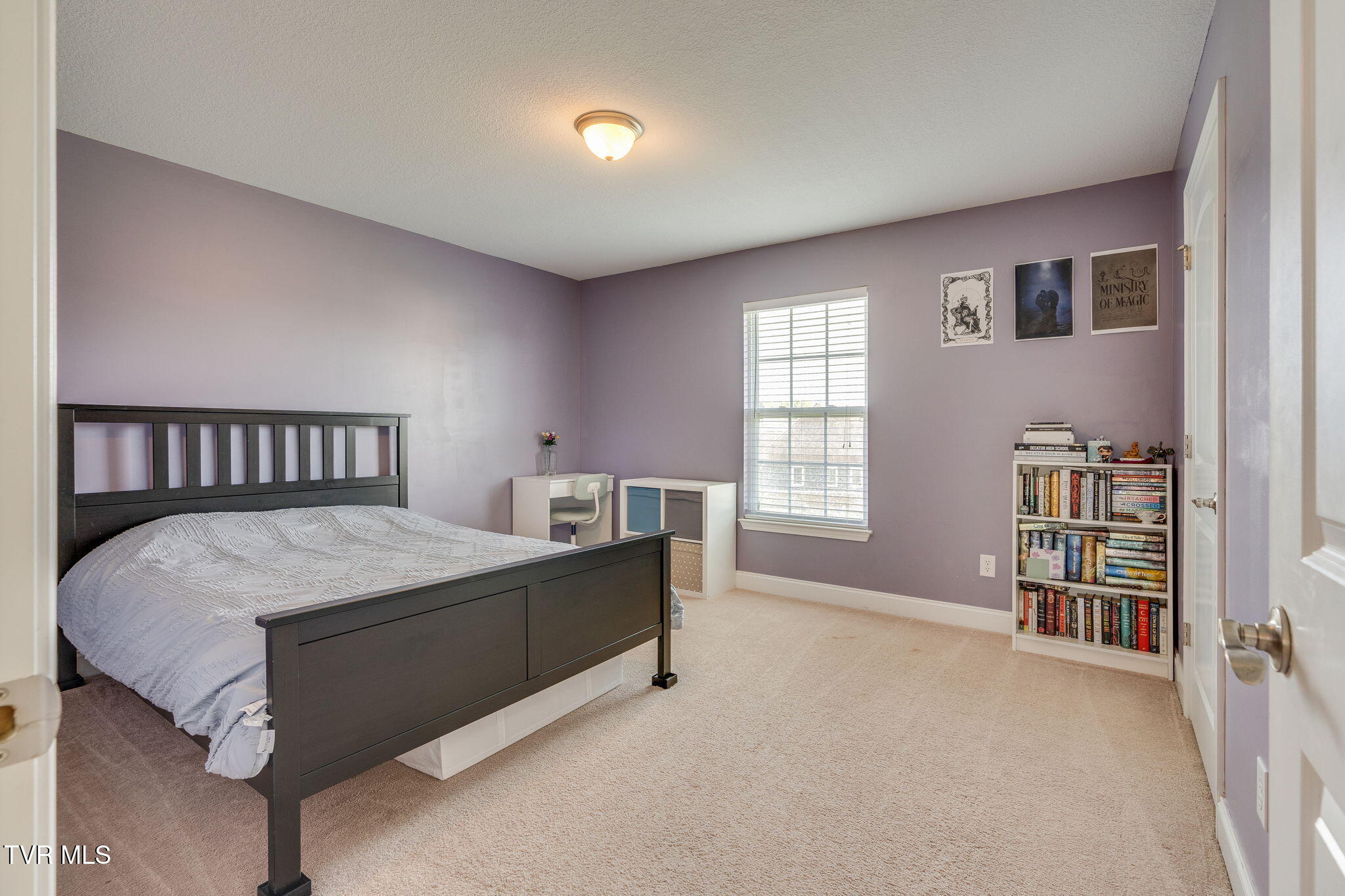 146 Anthurium Avenue, Johnson City, Tennessee image 24