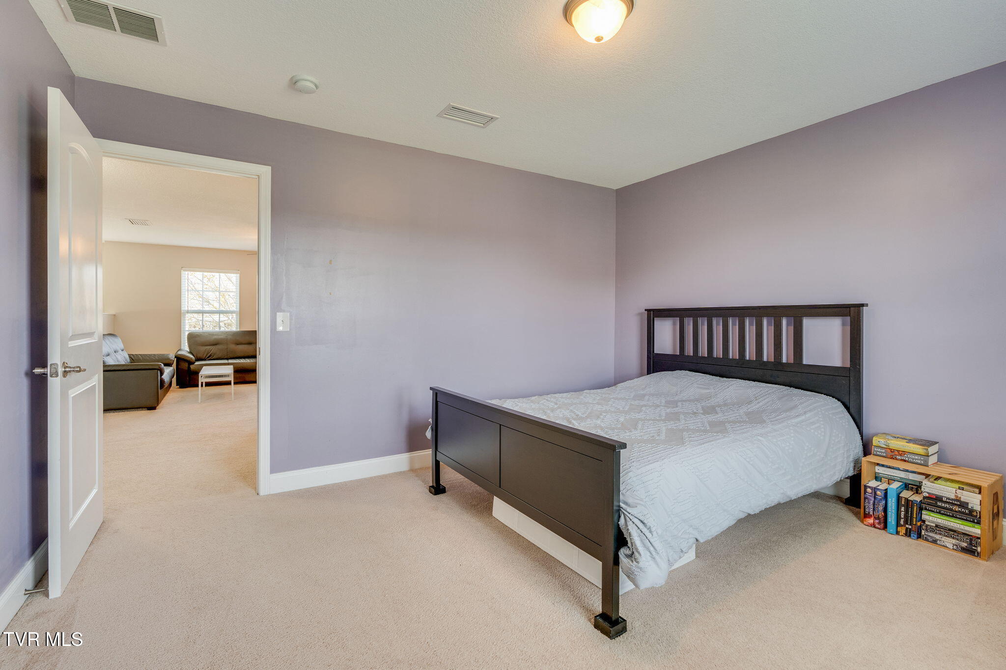 146 Anthurium Avenue, Johnson City, Tennessee image 25