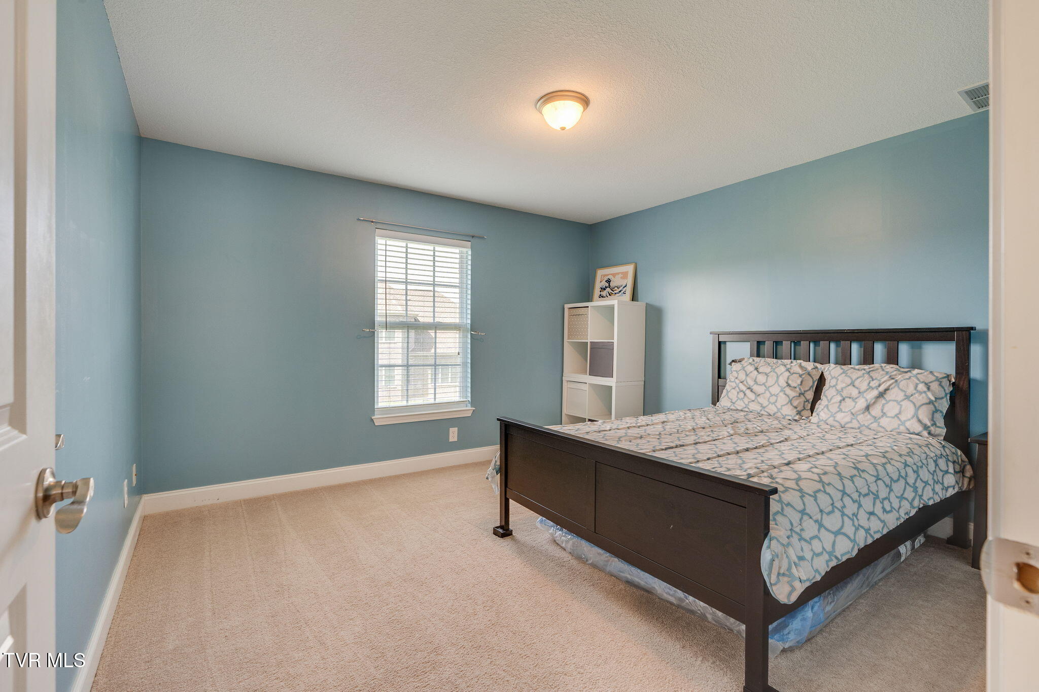 146 Anthurium Avenue, Johnson City, Tennessee image 26