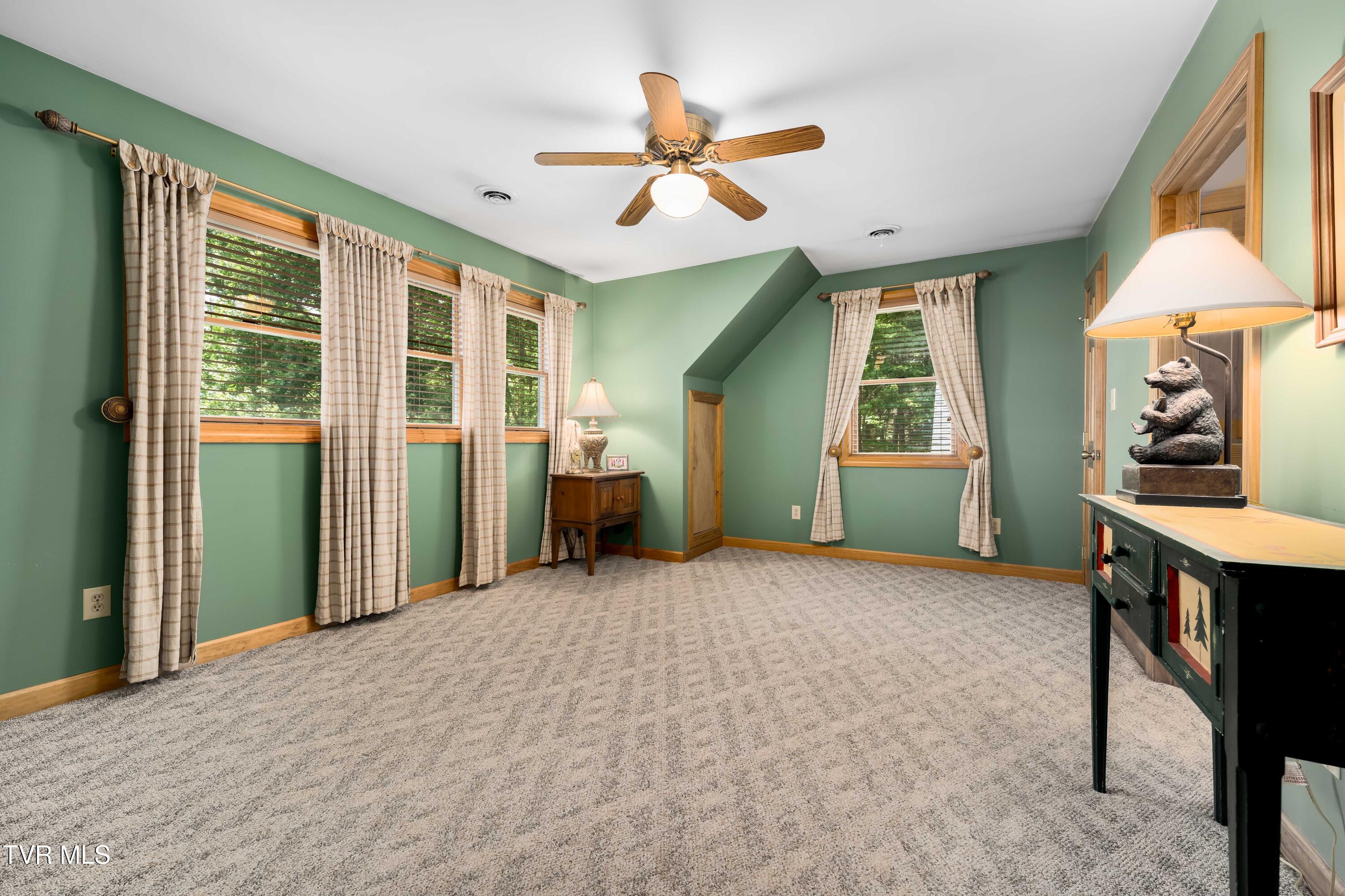 203 Bear Ridge Drive, Butler, Tennessee image 44