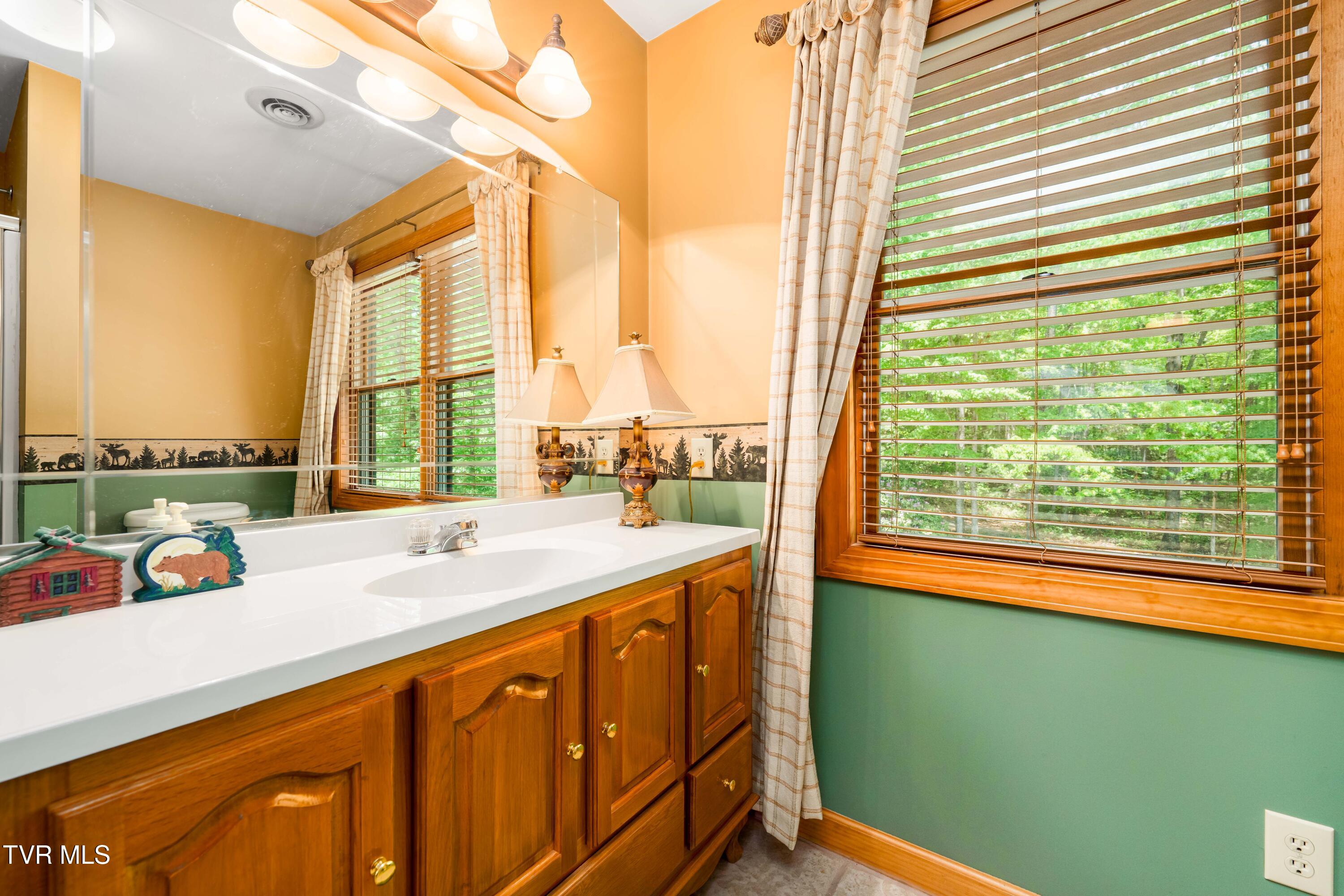203 Bear Ridge Drive, Butler, Tennessee image 46