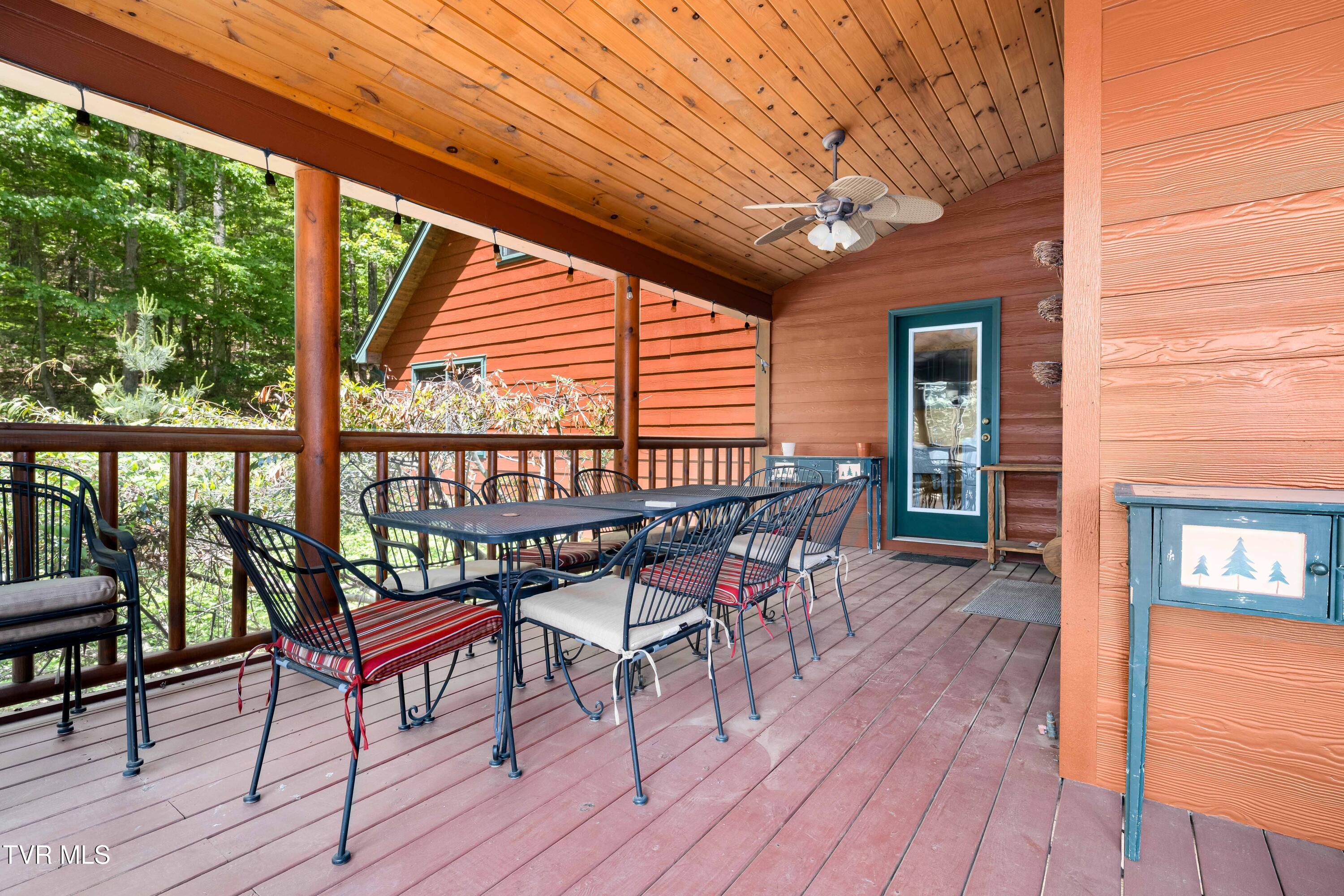 203 Bear Ridge Drive, Butler, Tennessee image 26