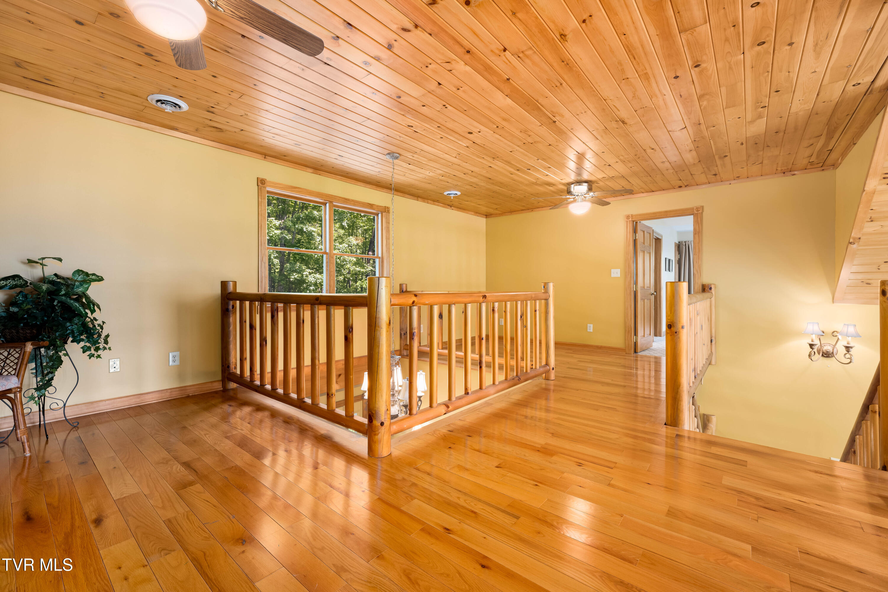 203 Bear Ridge Drive, Butler, Tennessee image 38
