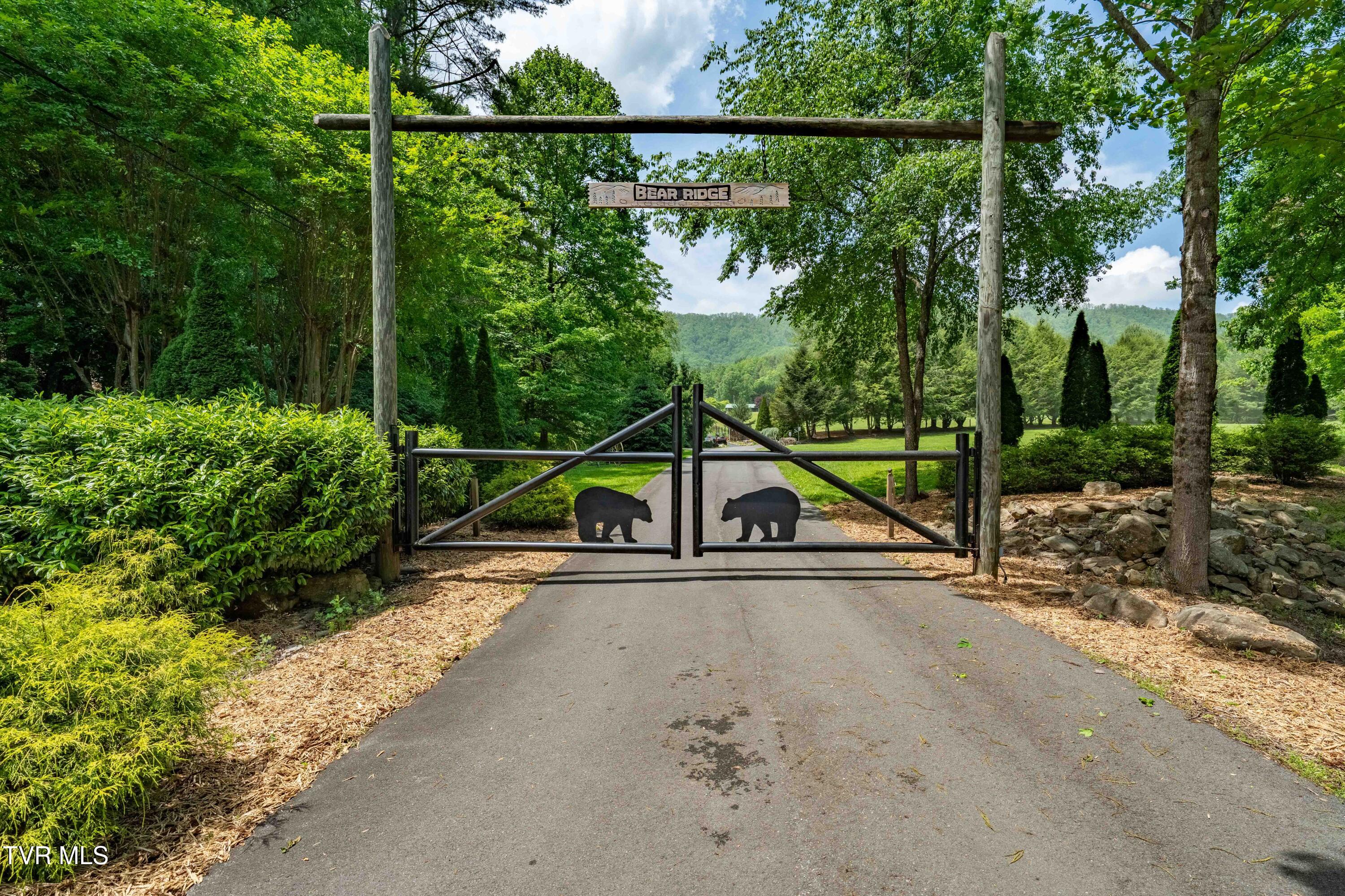 203 Bear Ridge Drive, Butler, Tennessee image 6