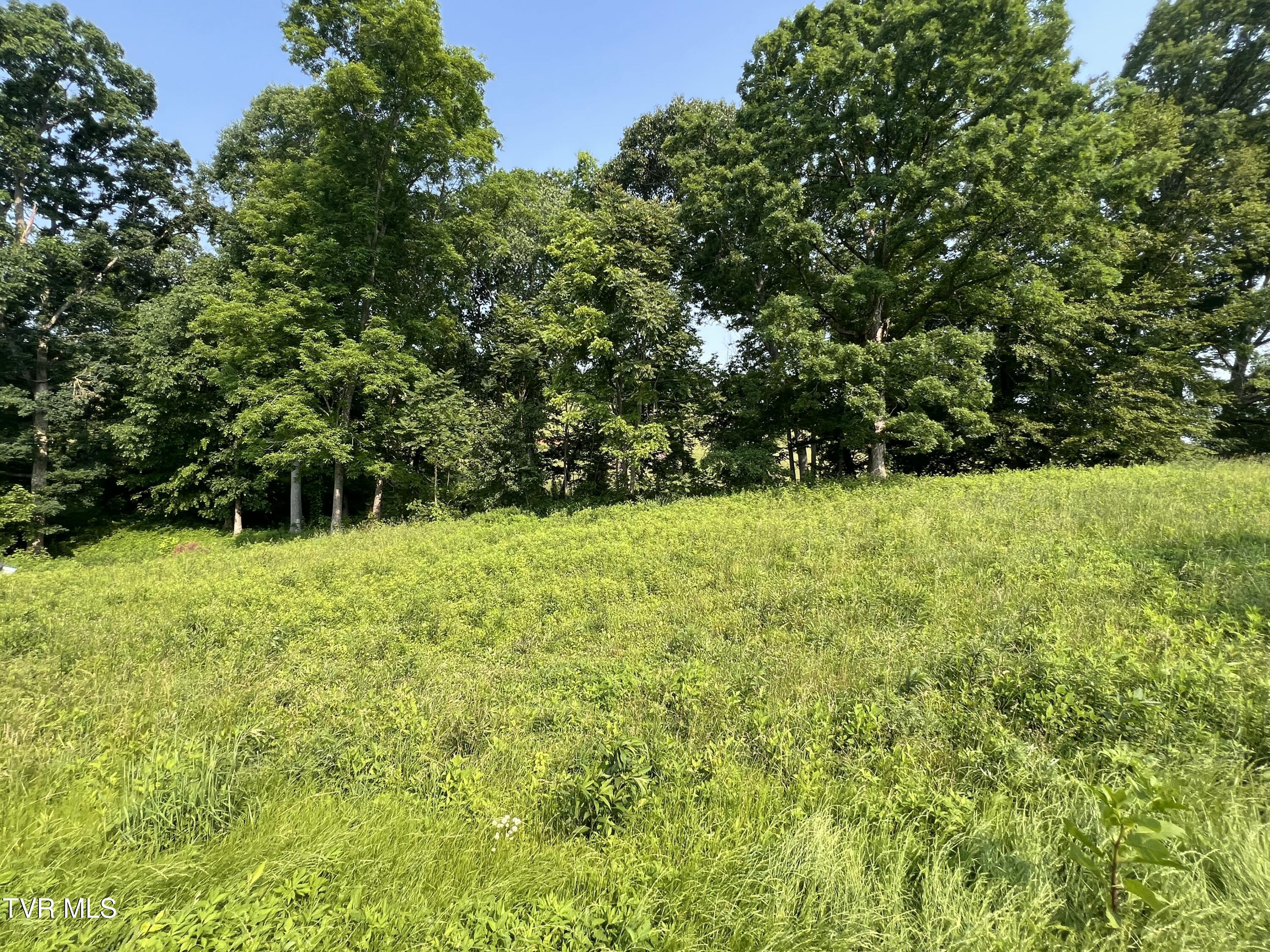 00 Jackson Road #LOT 10, Jonesborough, Tennessee image 11