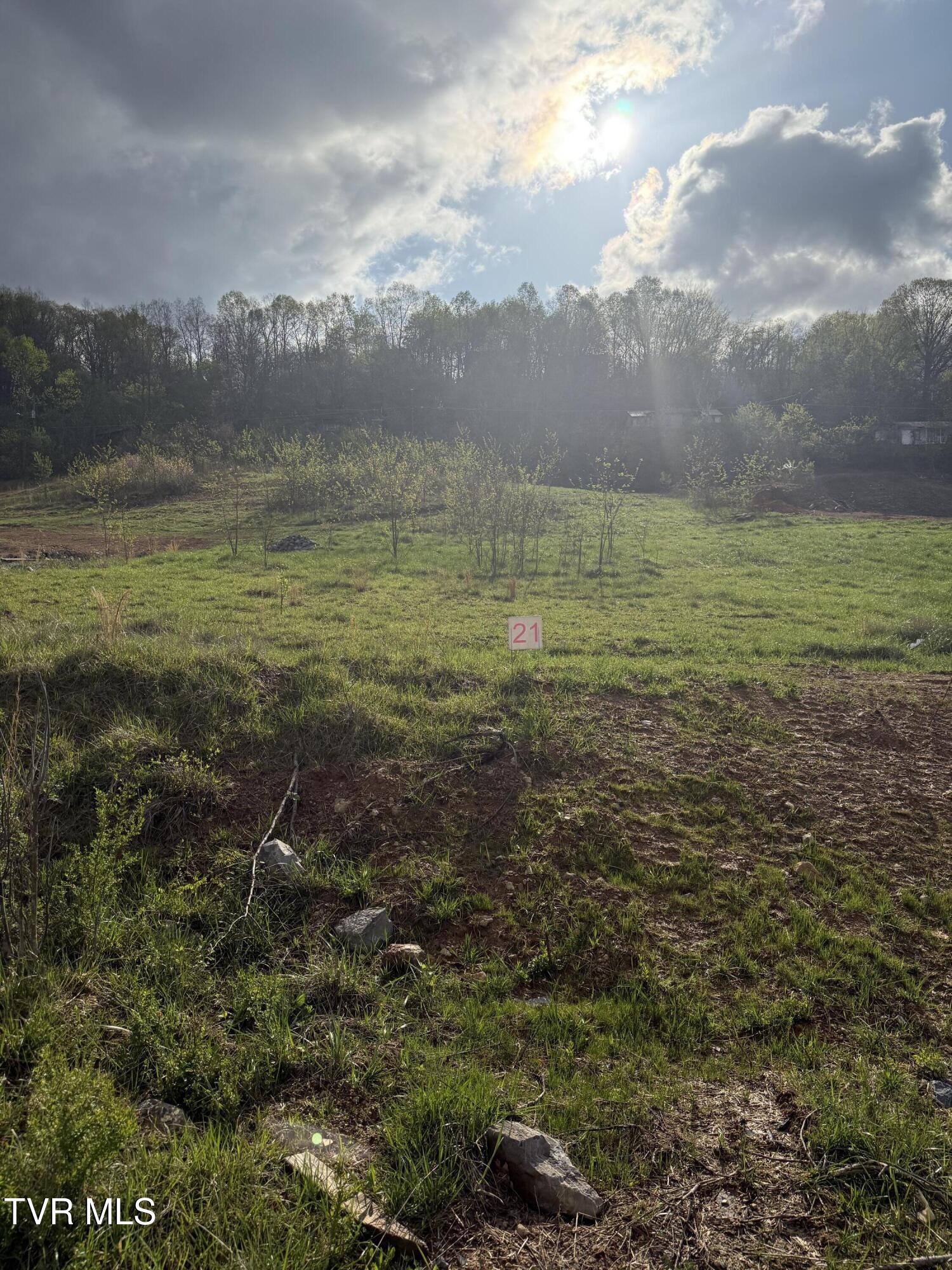 829 Granby Road, Kingsport, Tennessee image 4