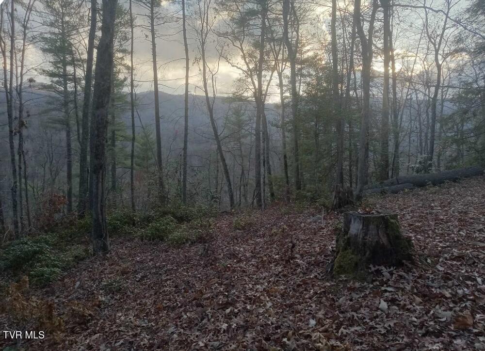 7735 Highway 19-e, Roan Mountain, Tennessee image 20