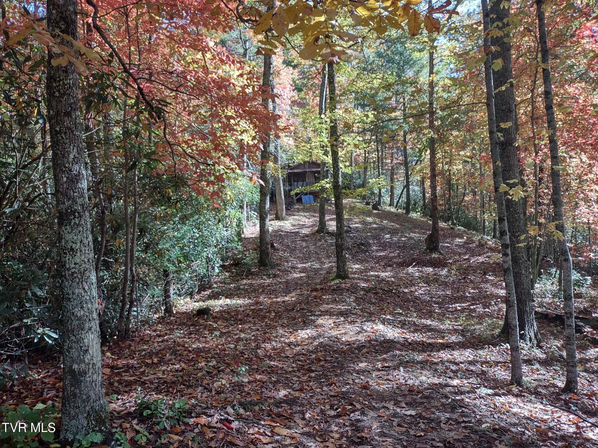 7735 Highway 19-e, Roan Mountain, Tennessee image 19