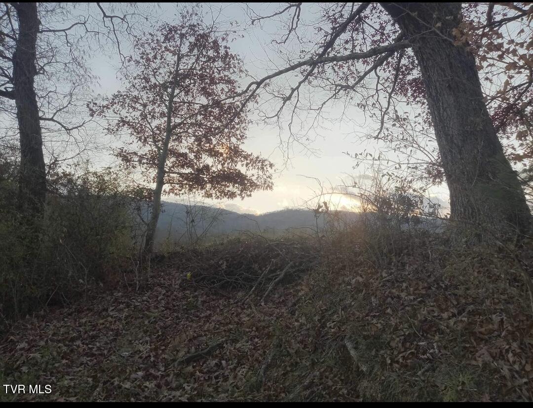 7735 Highway 19-e, Roan Mountain, Tennessee image 29